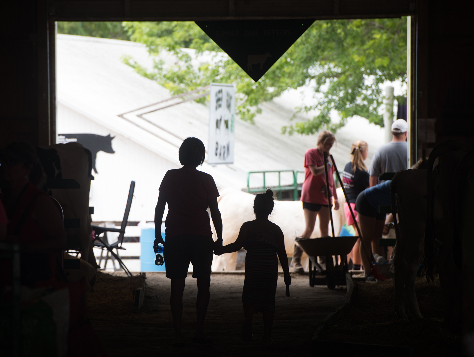 A mother and daughter hold hands while walking through a livestock barn at the Bremer County Fair. Photo credit: Joseph L. Murphy, Iowa Soybean Association