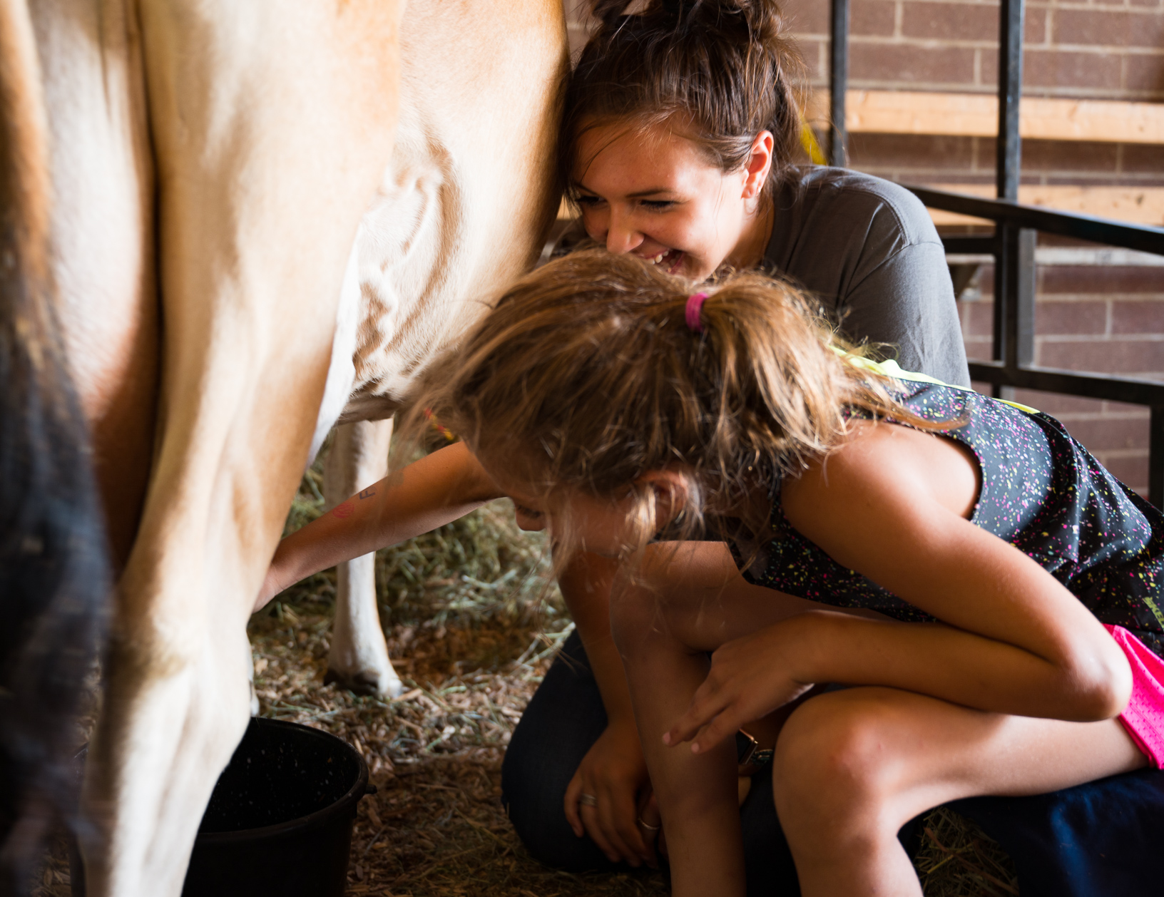 Josie Young, an Iowa State University Dairy Science Club student, smiles as Aleeri learns how to milk a cow at the Iowa State Fair. Photo credit: Joseph L. Murphy/Iowa Soybean Association