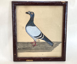 Folk Art Painting of a Pigeon