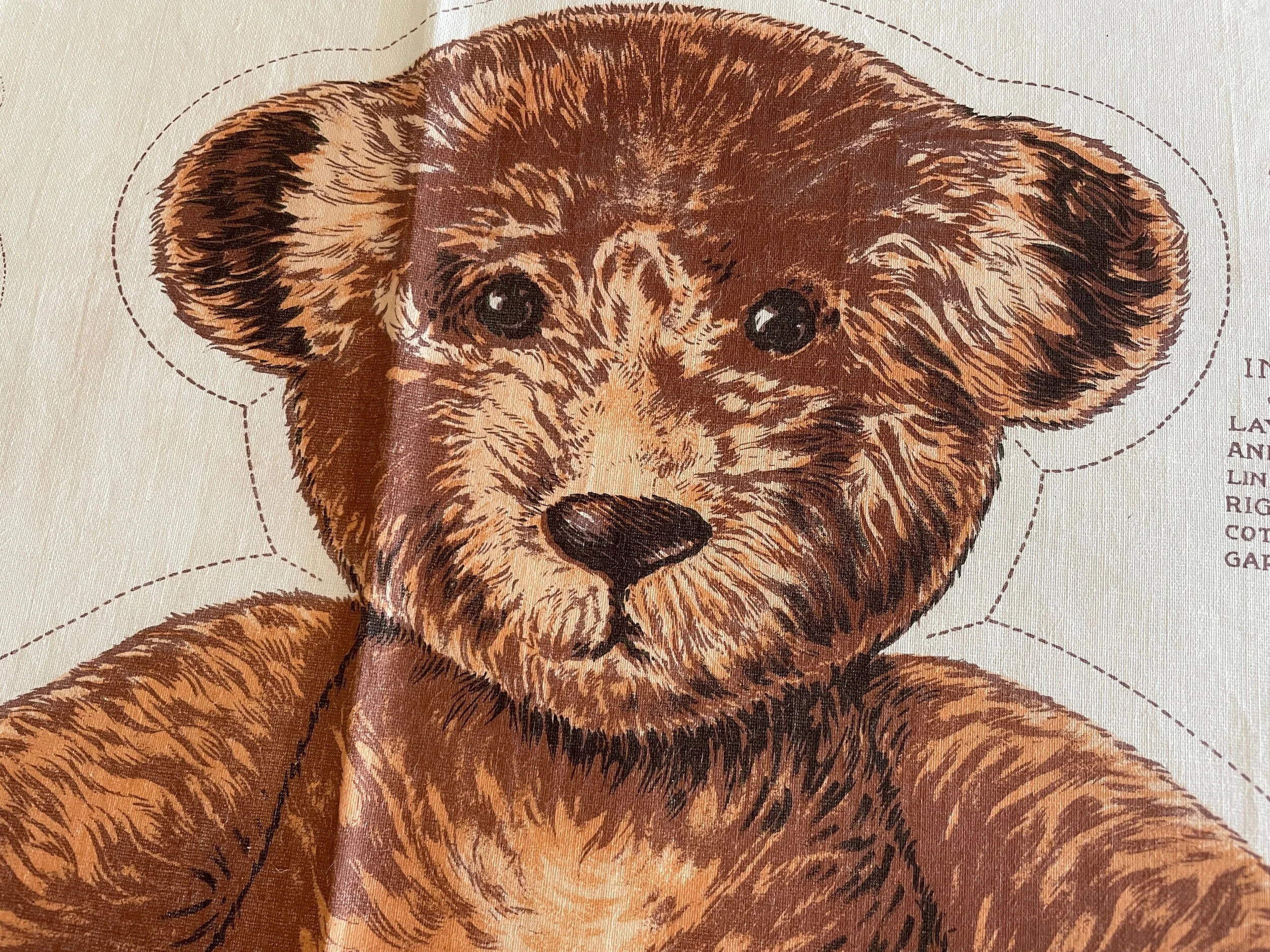 Teddy Bear  detail 1.jpeg