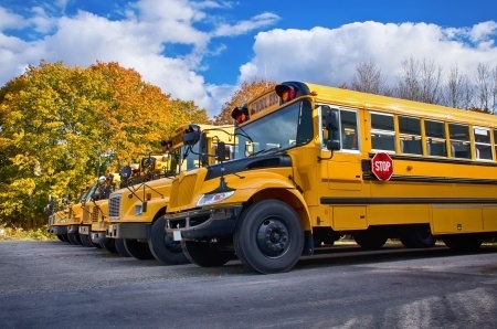 19666873_S_School_Bus_Trees_clouds.jpg