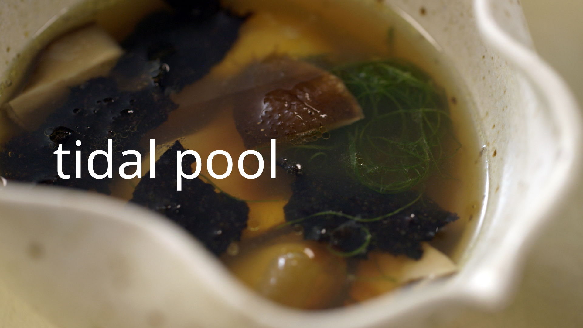 tidal-pool-v21.jpg