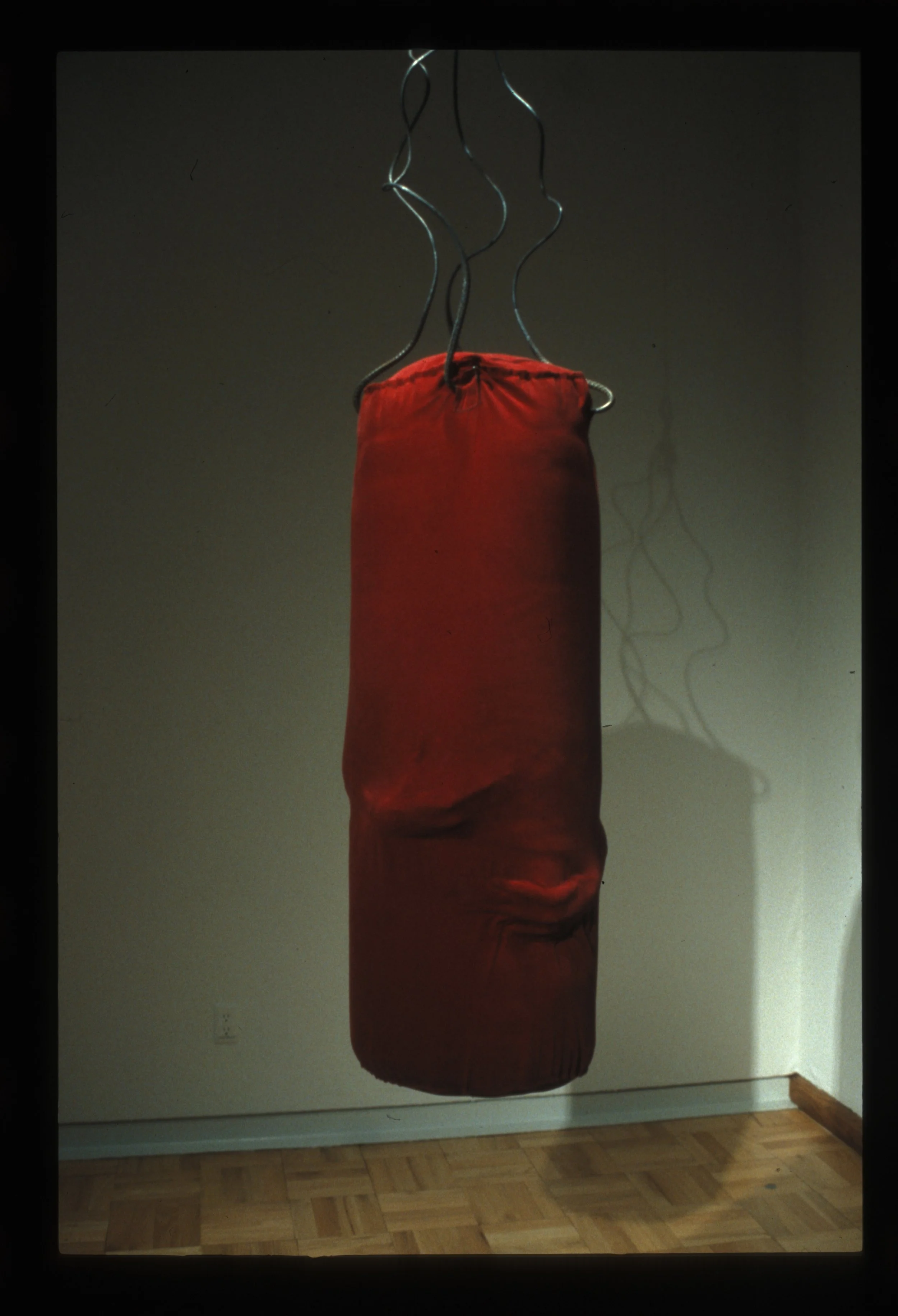 Punching Bag (back)