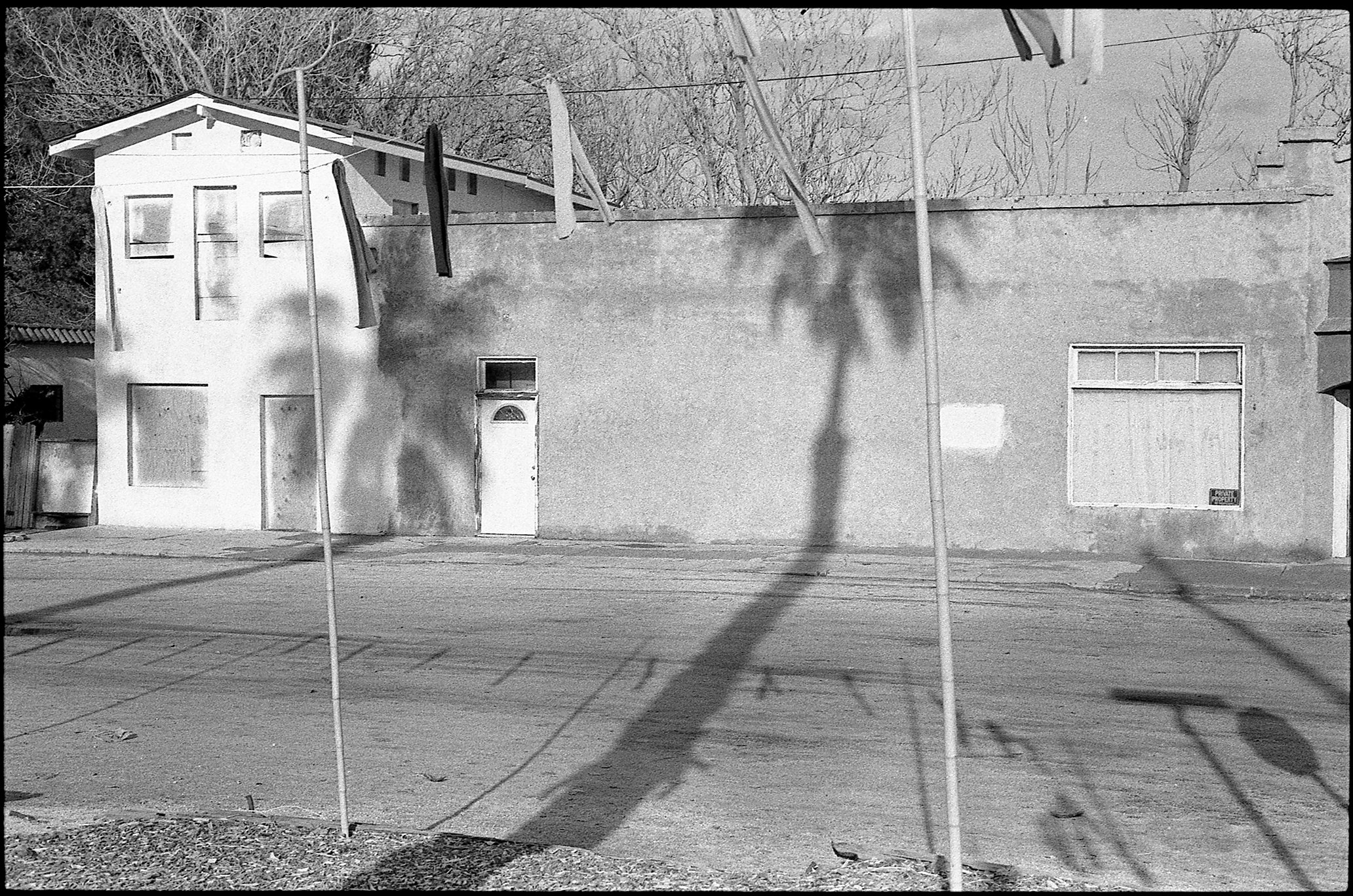 Palm Tree Shadows, Jacumba Hot Springs CA, February 2022