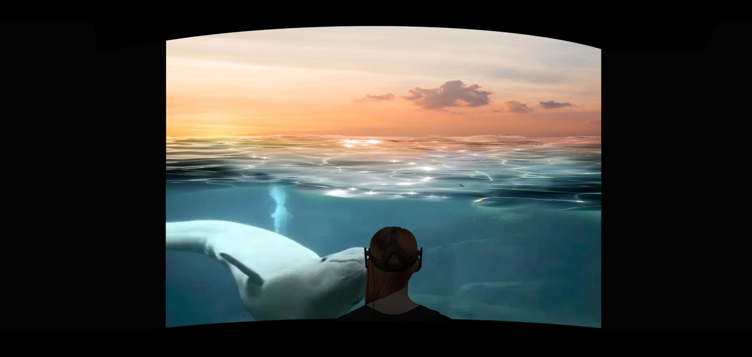 testVRdiorama_belugas2.png
