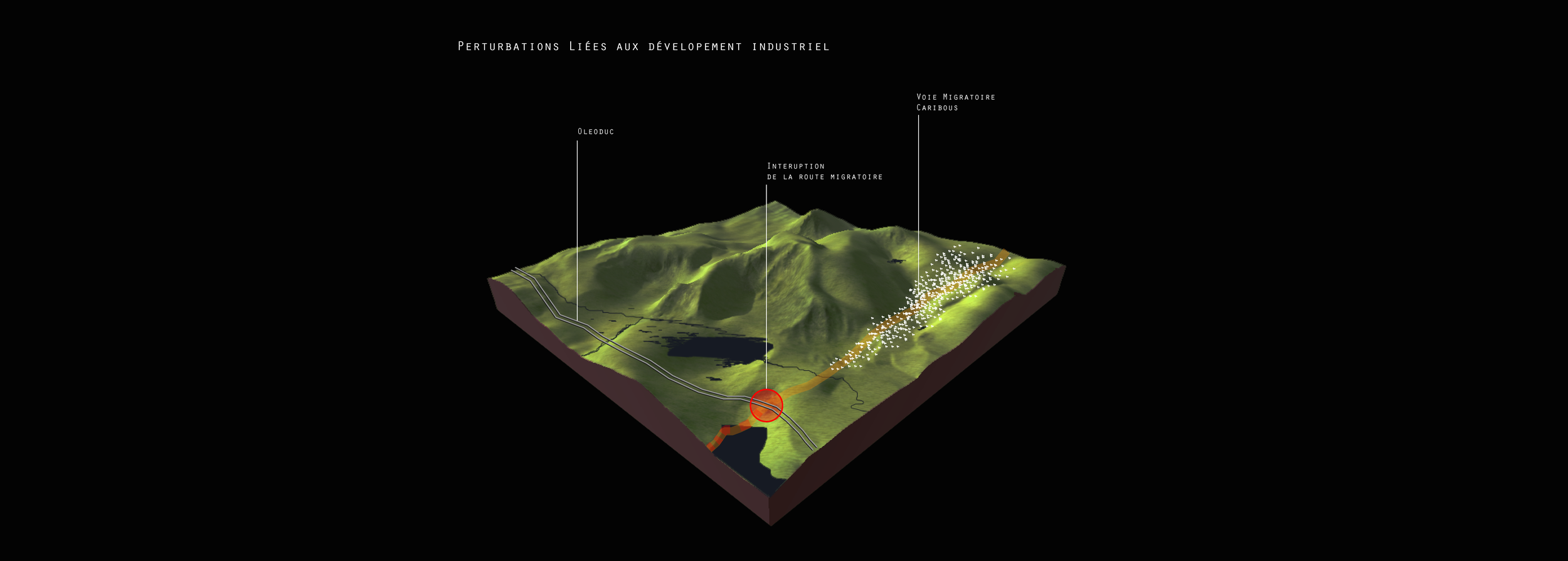 testVRdiorama_caribou_map.png