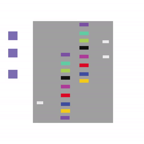 giphy (2).gif