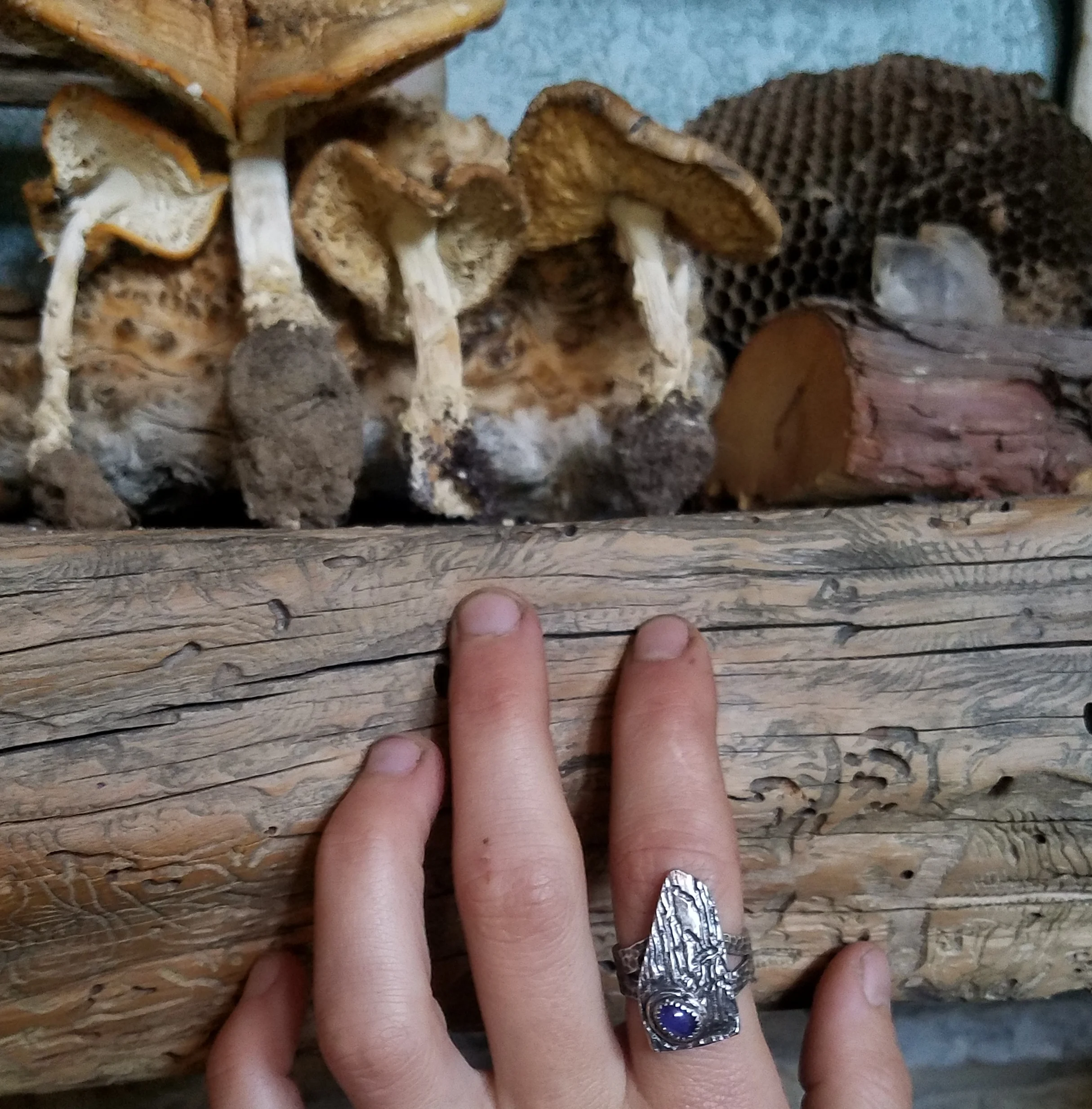 20180219_104147[1].jpg