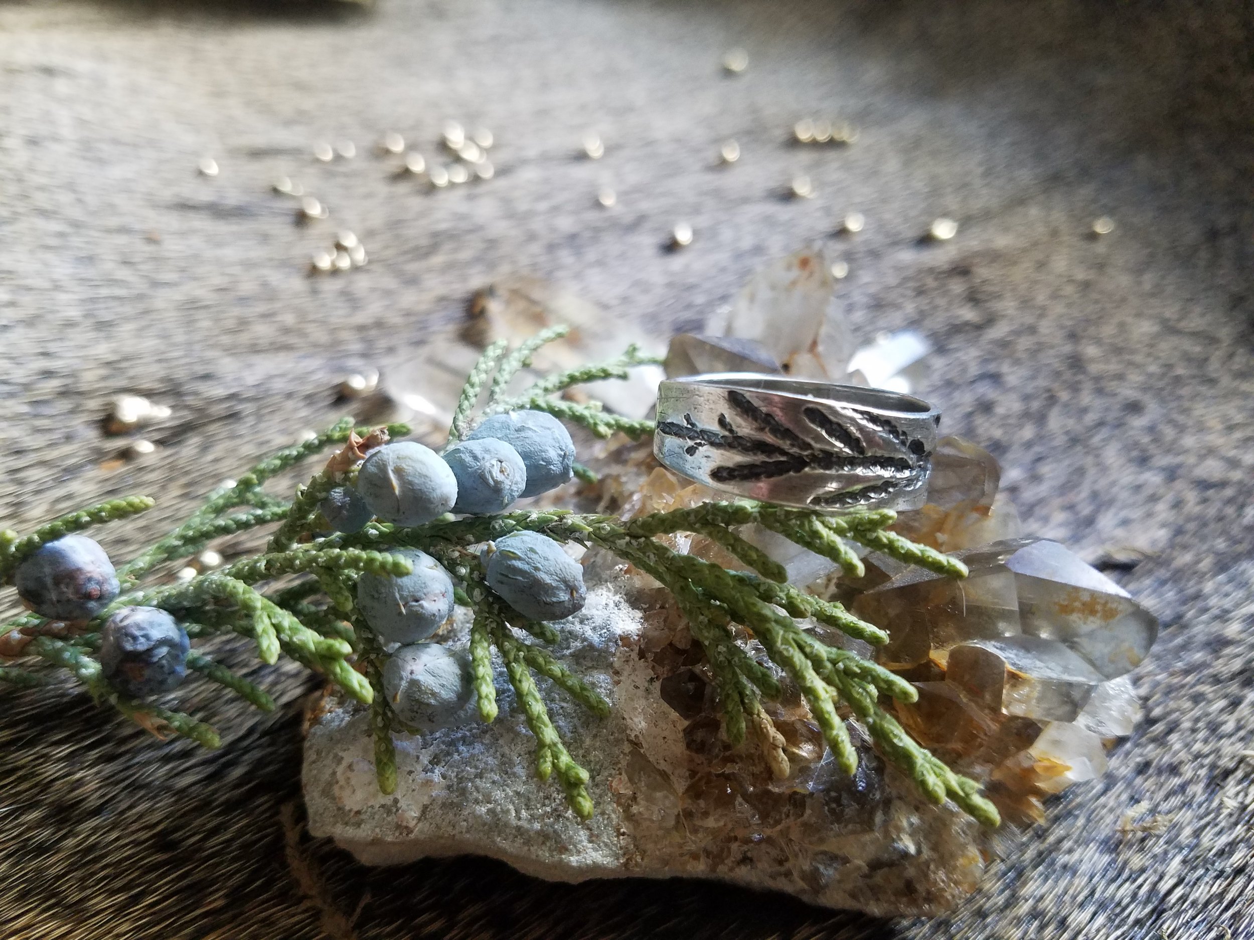 20180317_150408[1].jpg