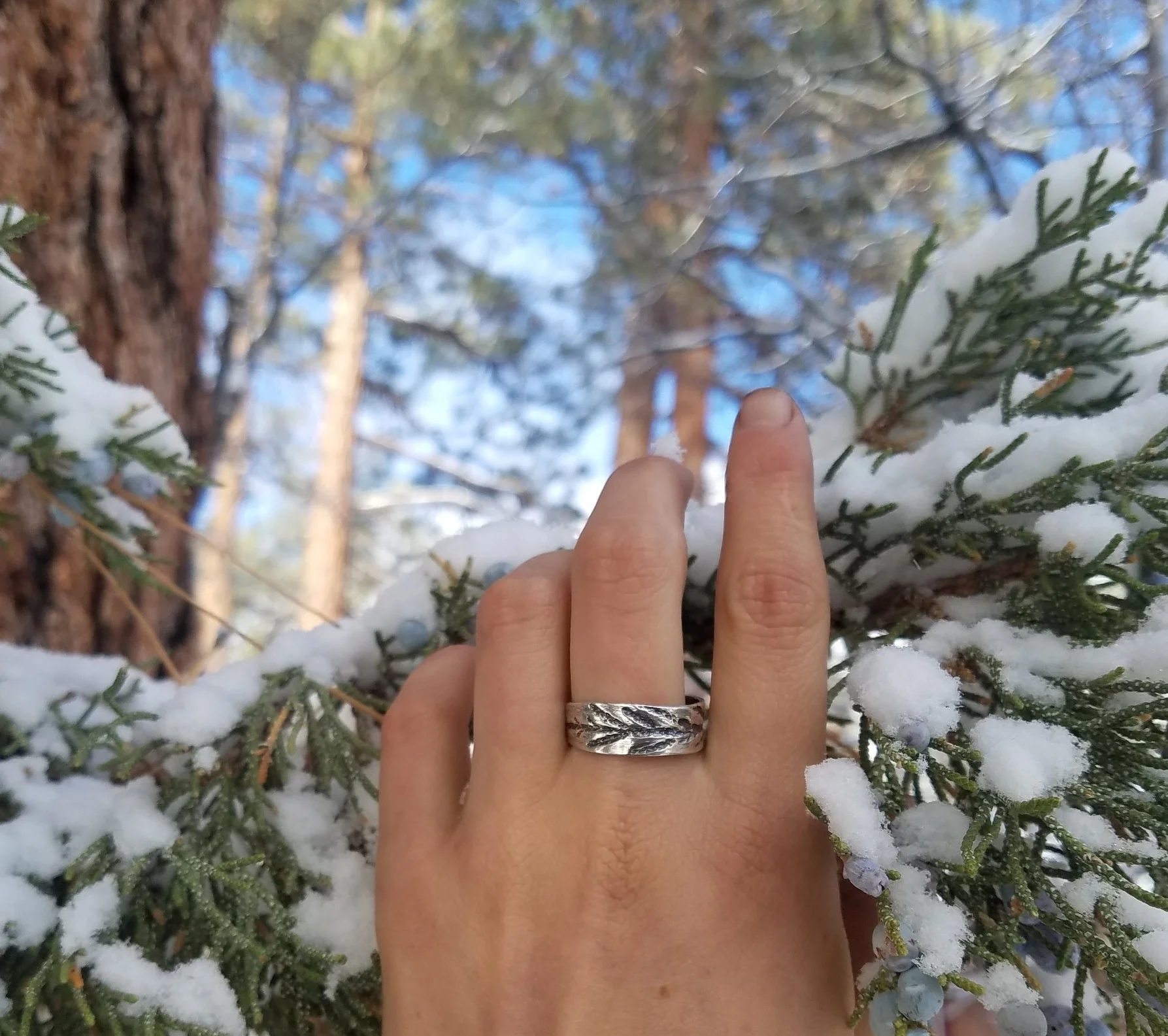 20180317_093701[1].jpg