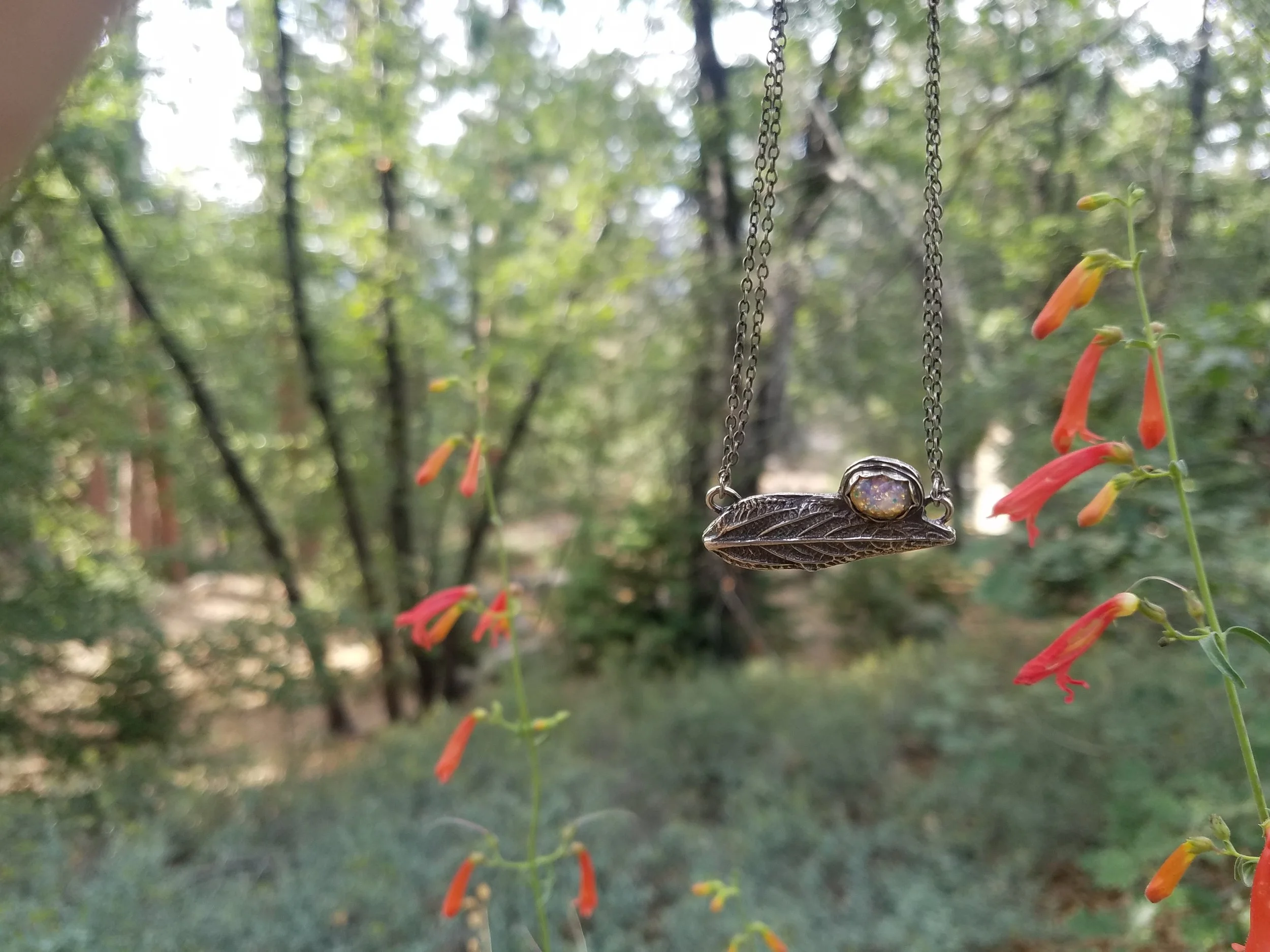 20180707_181831[1].jpg