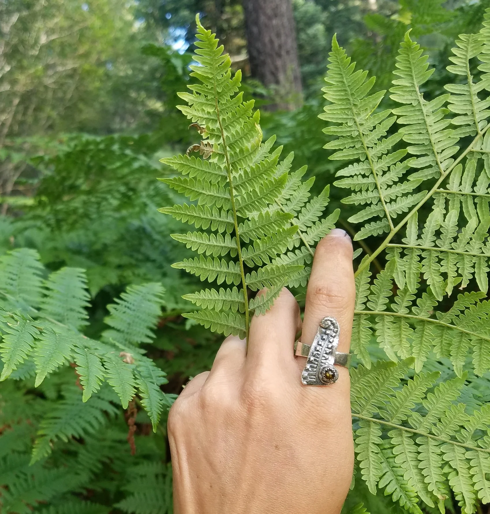 Handcrafted Artisan Jewelry ~ Fiddlehead Fern - Amber - Fine Silver Ring - Size 8.75 ~ Made in California by All Goods From The Woods