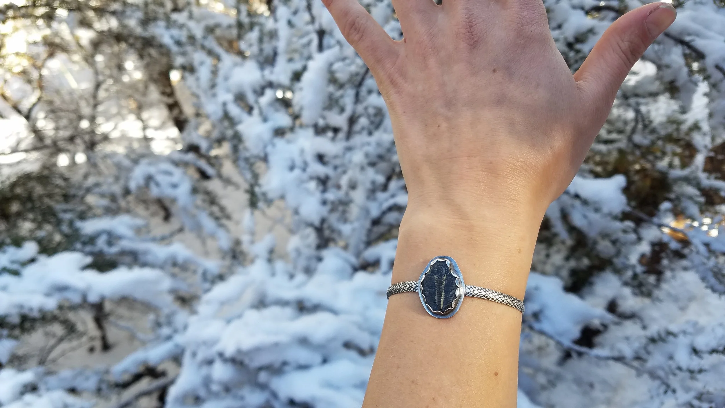 20190106_122609[1].jpg
