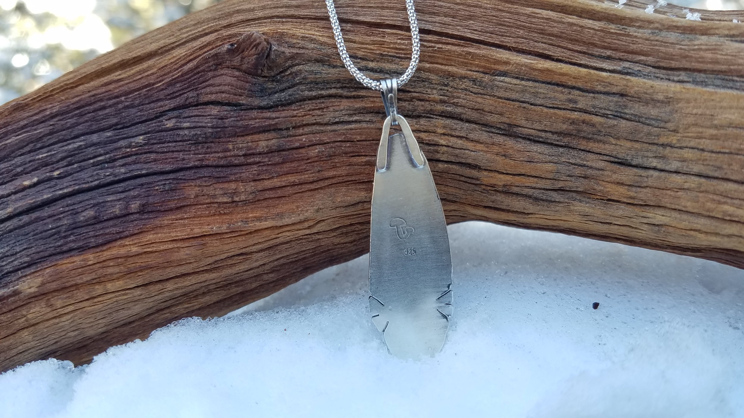 20190106_132751[1].jpg