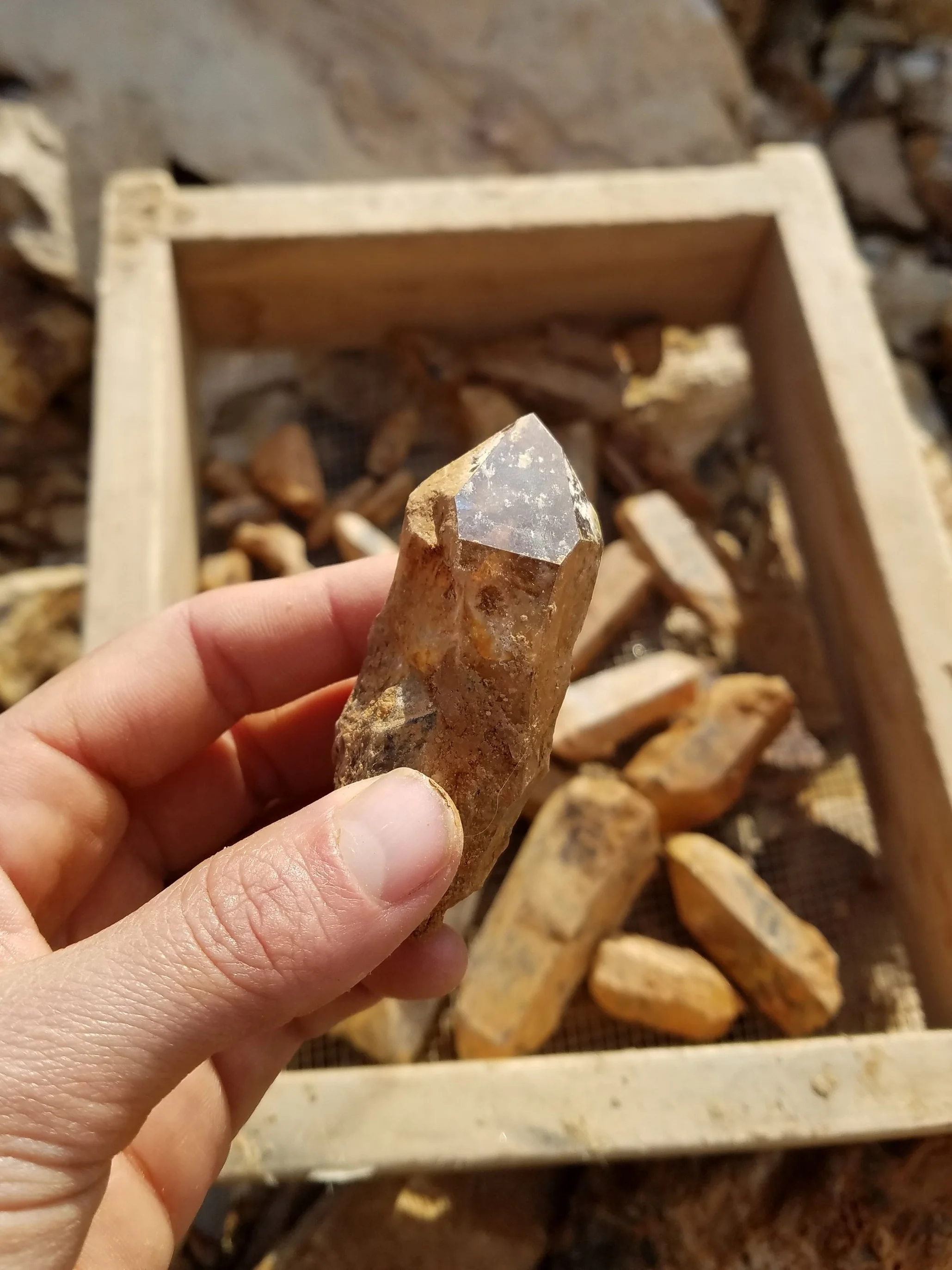 20190323_173435.jpg