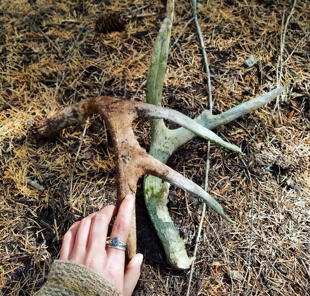 20190407_141711.jpg