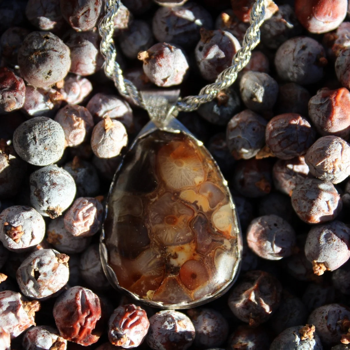 Handcrafted Artisan Jewelry ~ Fire Agate ~ Natures Image of Mushroom Gills + Spore Prints ~ Sterling Silver Necklace ~ Made in California by All Goods From The Woods