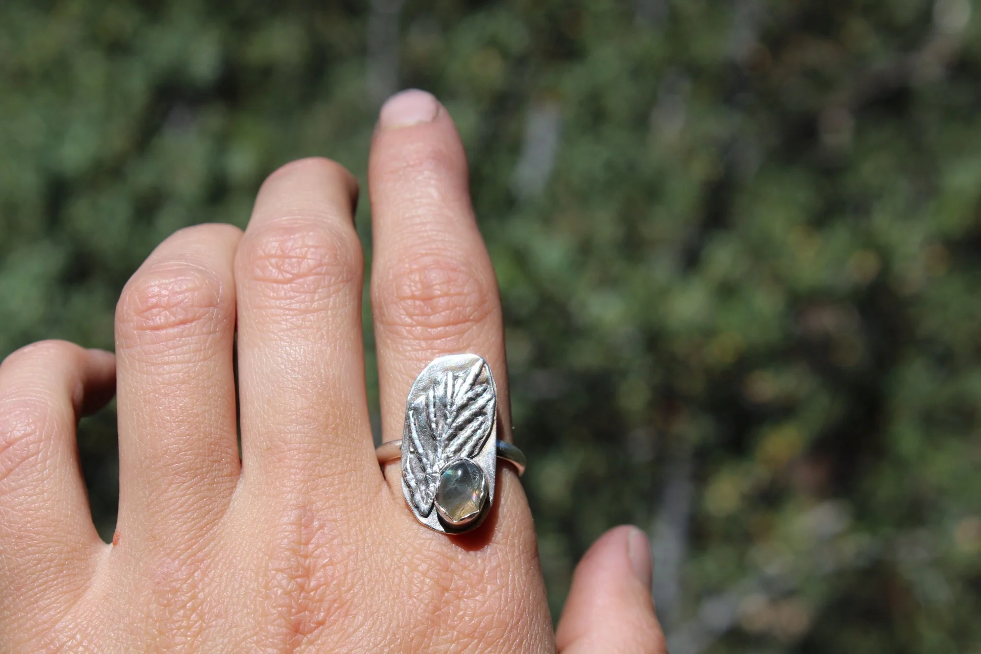 Handcrafted Artisan Jewelry ~ Port Orford Cedar + Golden Labradorite Ring - Size 7.75 ~ All Goods From The Woods ~ Made in California