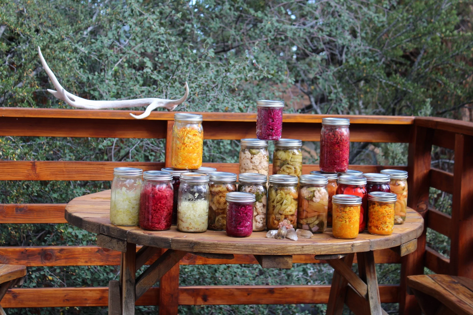 pickling / sourkrauting / canning / TRADES TRADES TRADES