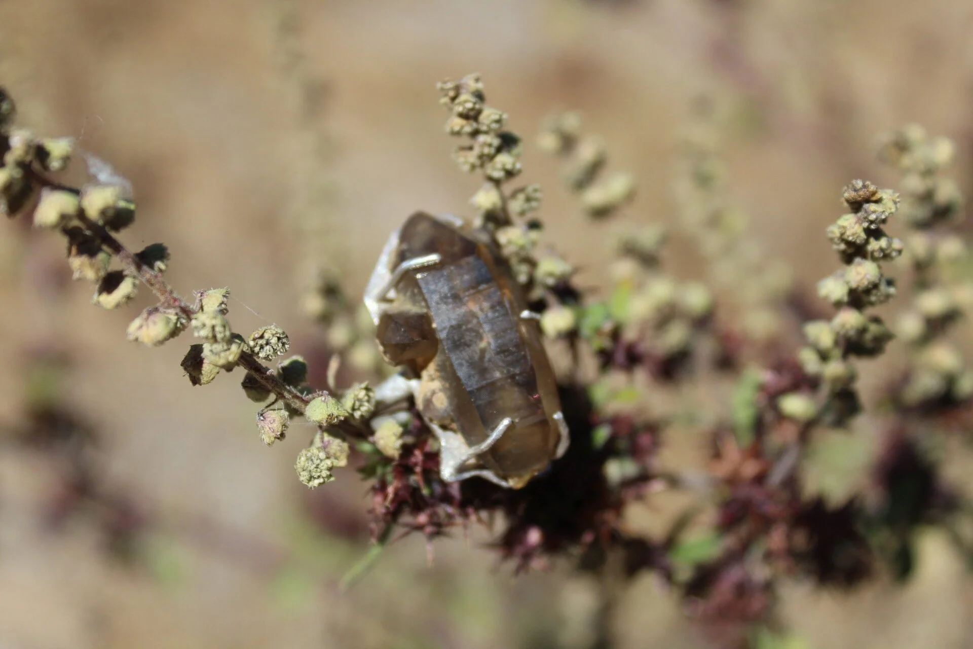 Handcrafted Artisan Jewelry ~ Smoky Quartz of the Sierra Nevada Mountains ~ Mined in California ~ Sterling Silver Ring - Size 6.25 ~ All Goods From The Woods ~ Made in California