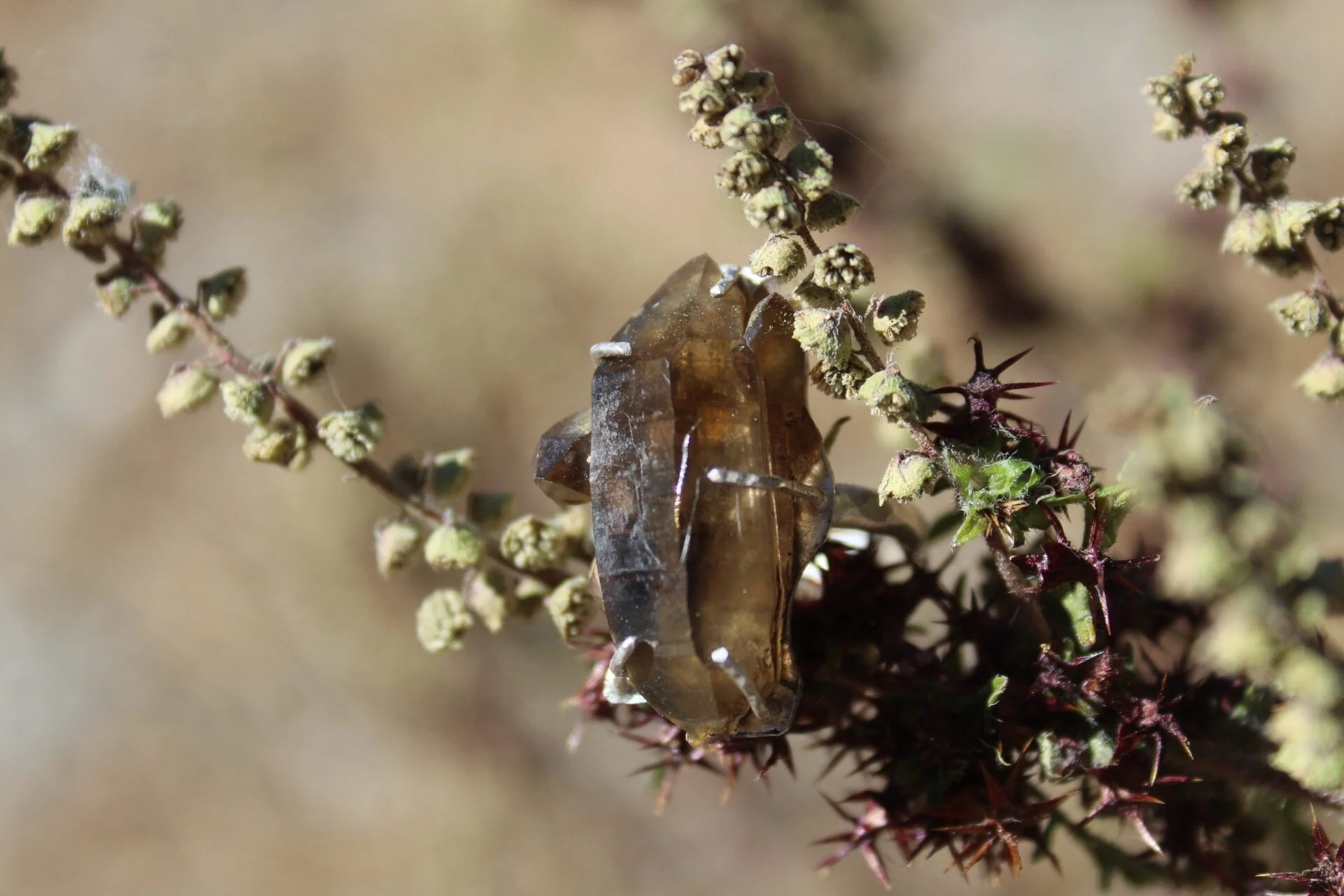 Handcrafted Artisan Jewelry ~ Smoky Quartz of the Sierra Nevada Mountains ~ Mined in California ~ Sterling Silver Ring - Size 6.25 ~ All Goods From The Woods ~ Made in California