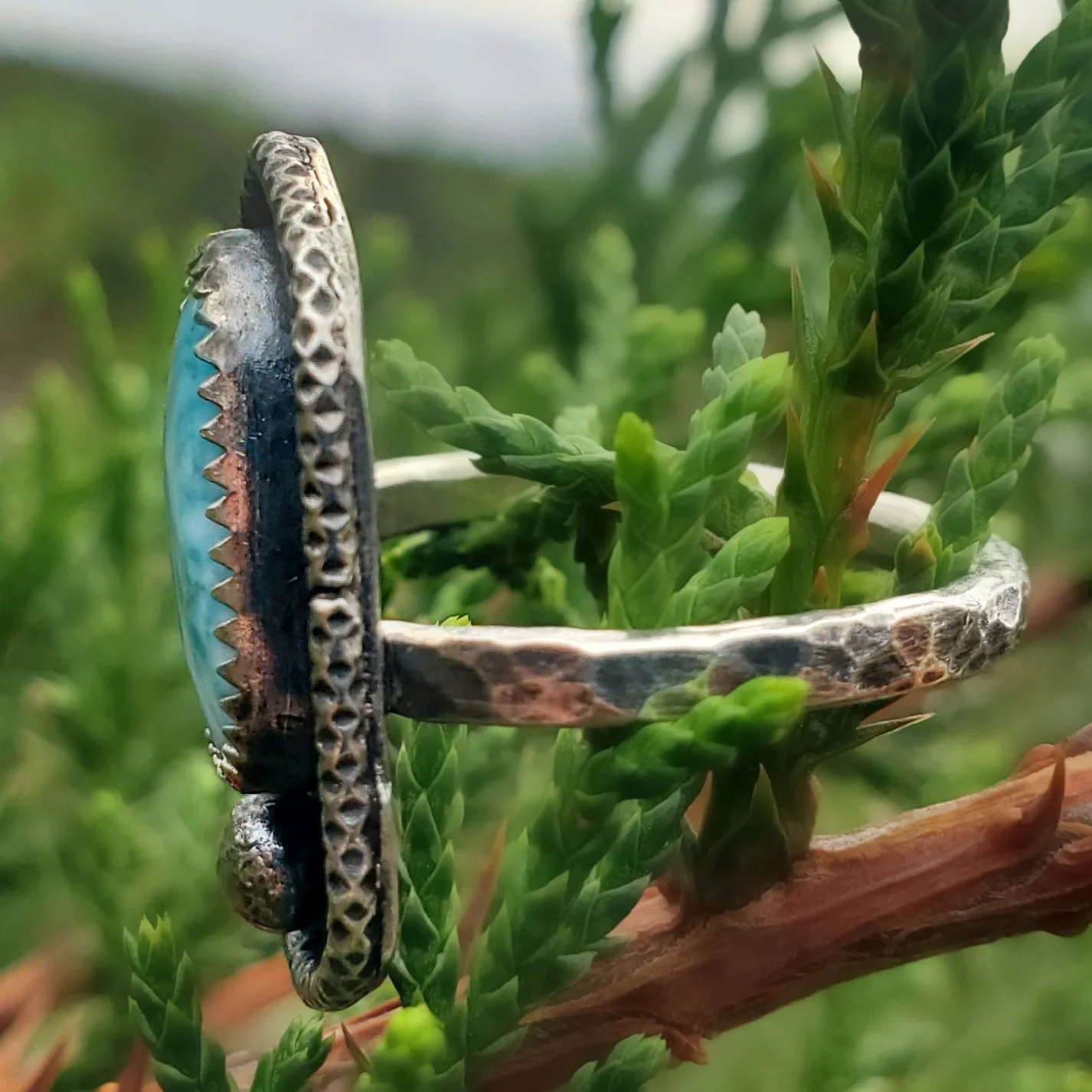 2024-03-10 10_03_08.728-0500.jpg