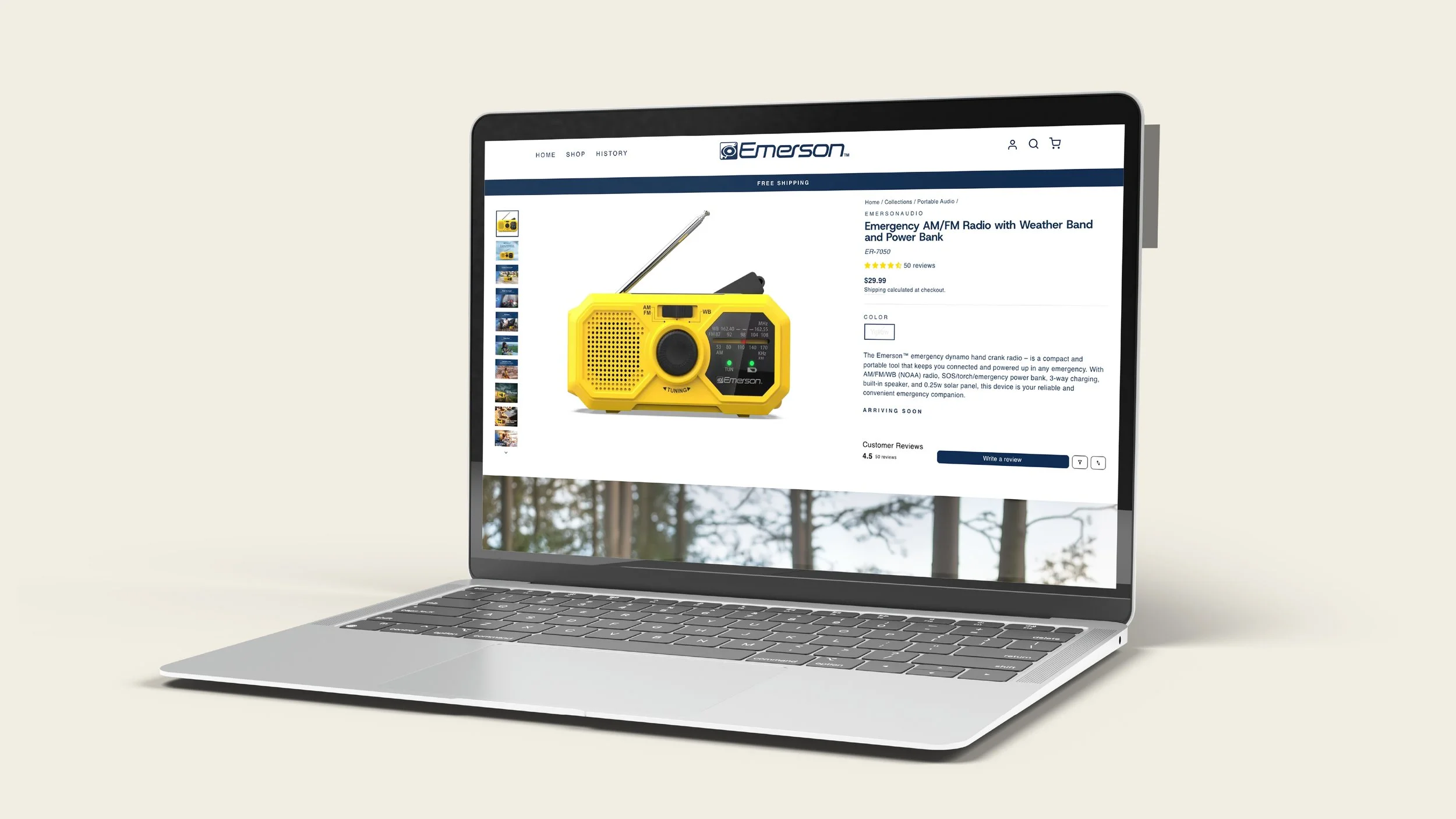 Emerson_Web_V-18.jpg