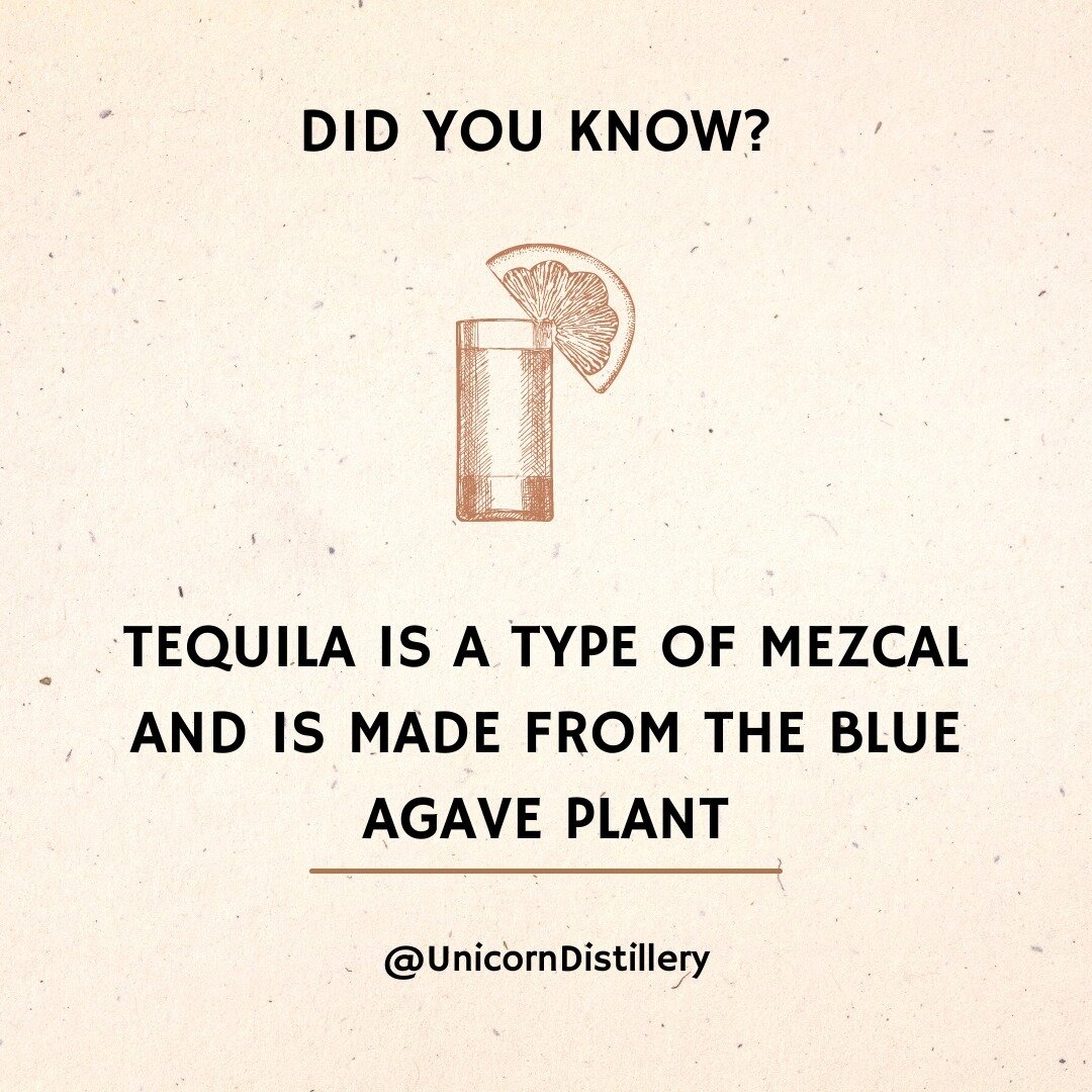 It's true: All tequila is technically mezcal. The variety of tequila depends on where it's made. Tequilas other than mixtos tequilas are only produced in the Mexican state of Jalisco and in some areas of Guanajuato, Michoacan, Nayarit and Tamaulipas.
