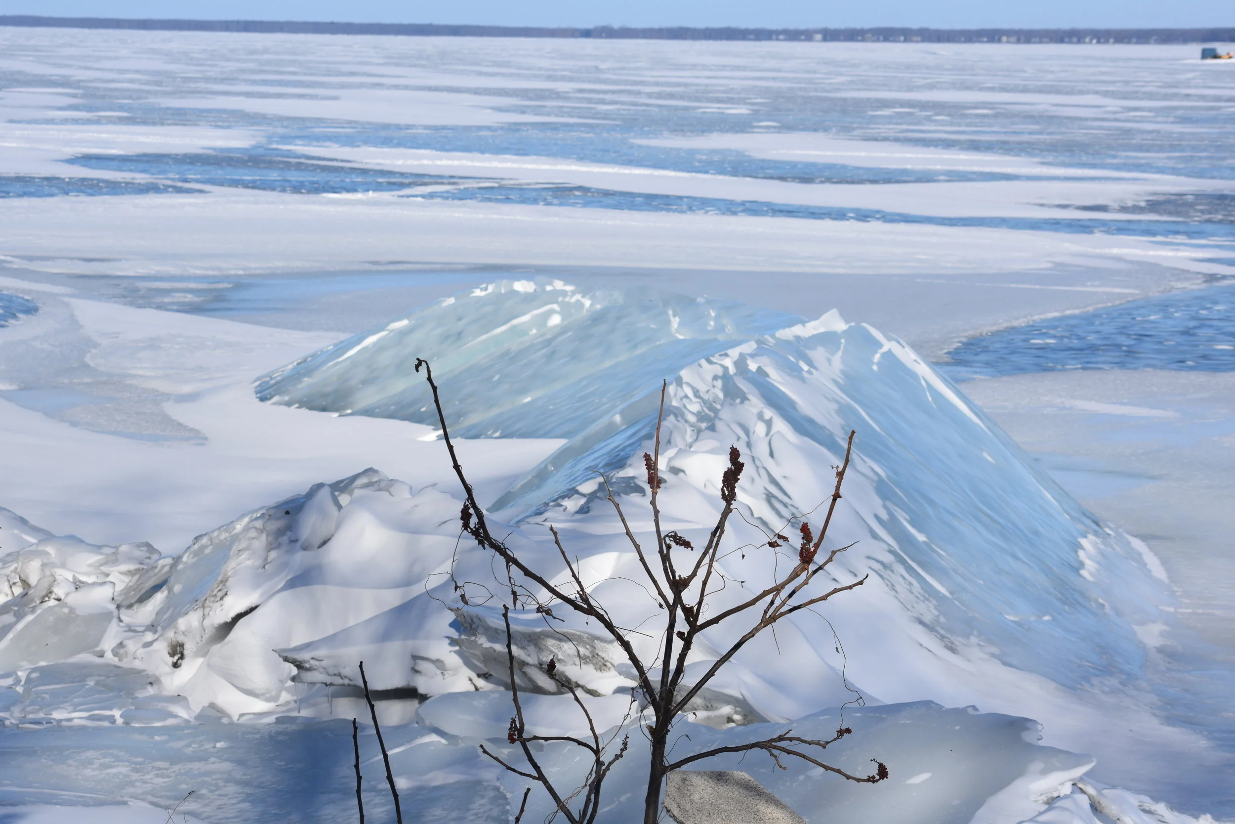 DSC_0833.JPG