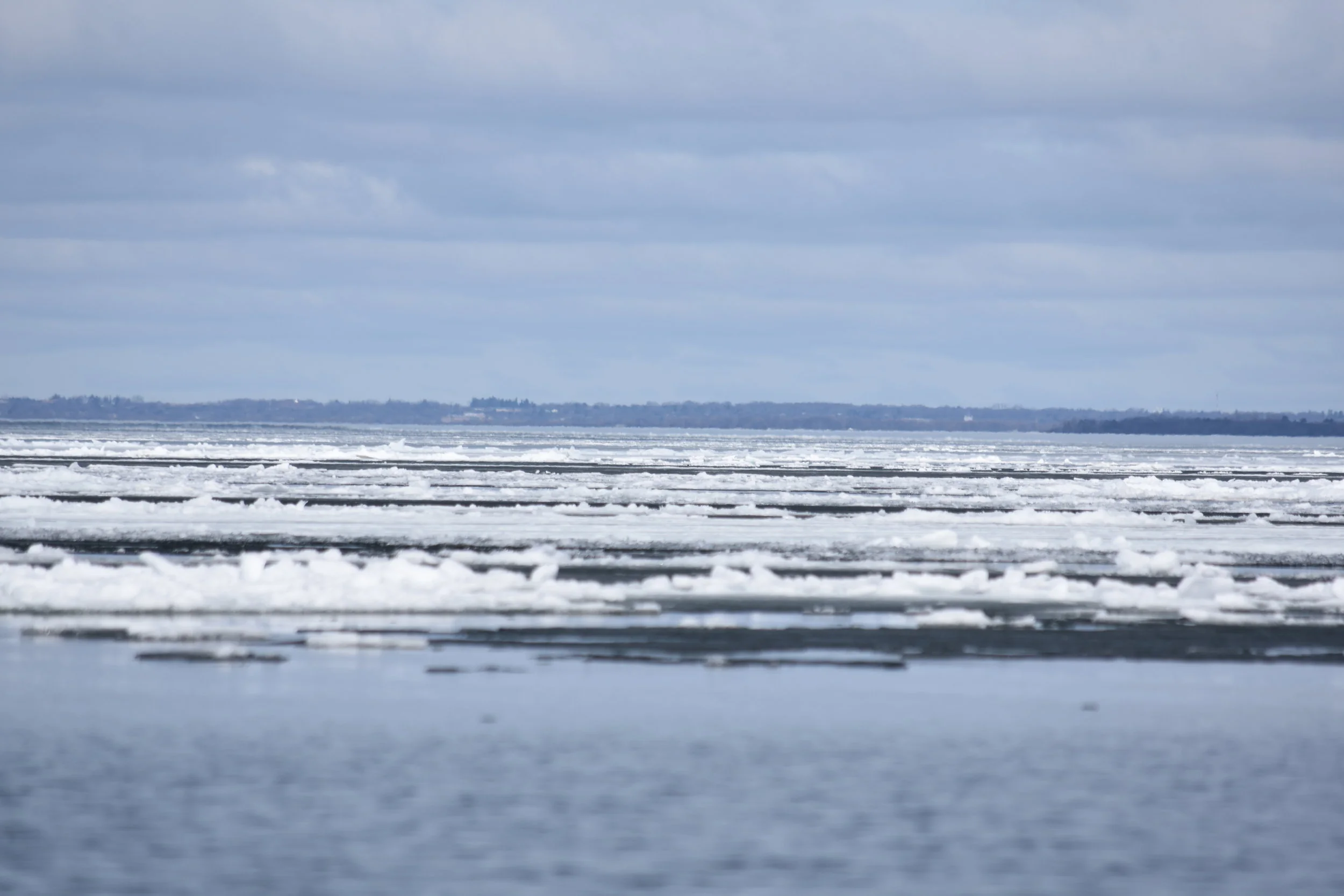 DSC_0301.JPG
