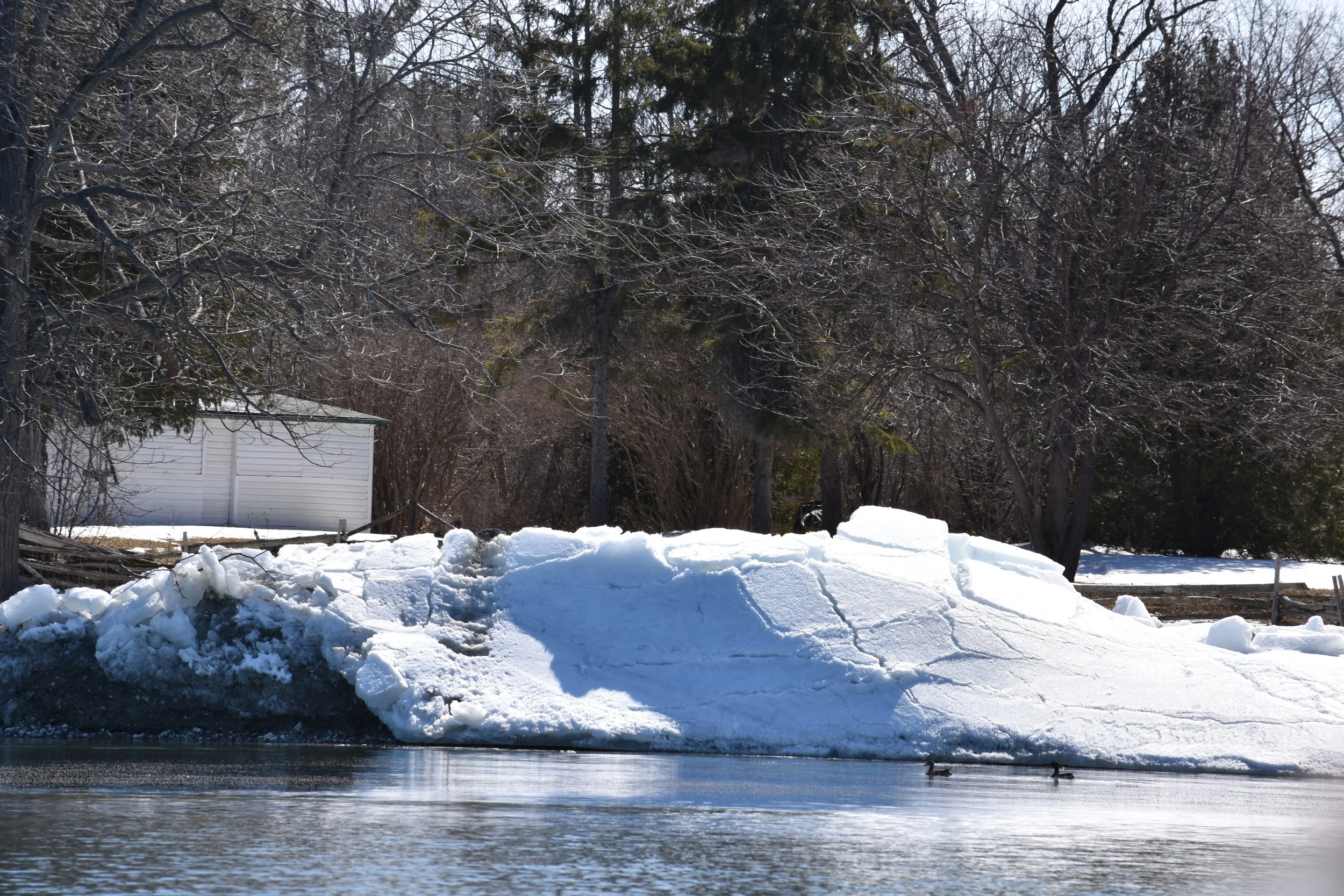 DSC_0307.JPG