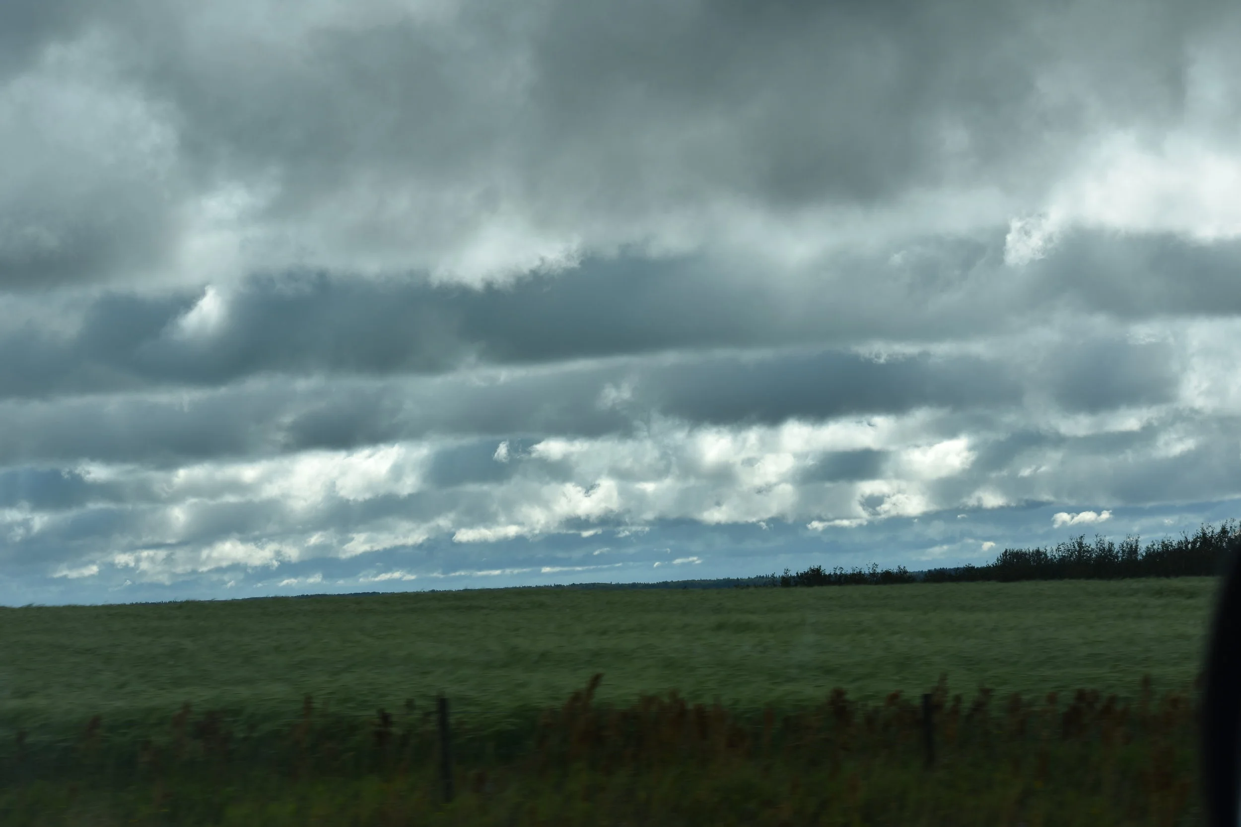 DSC_0389.JPG