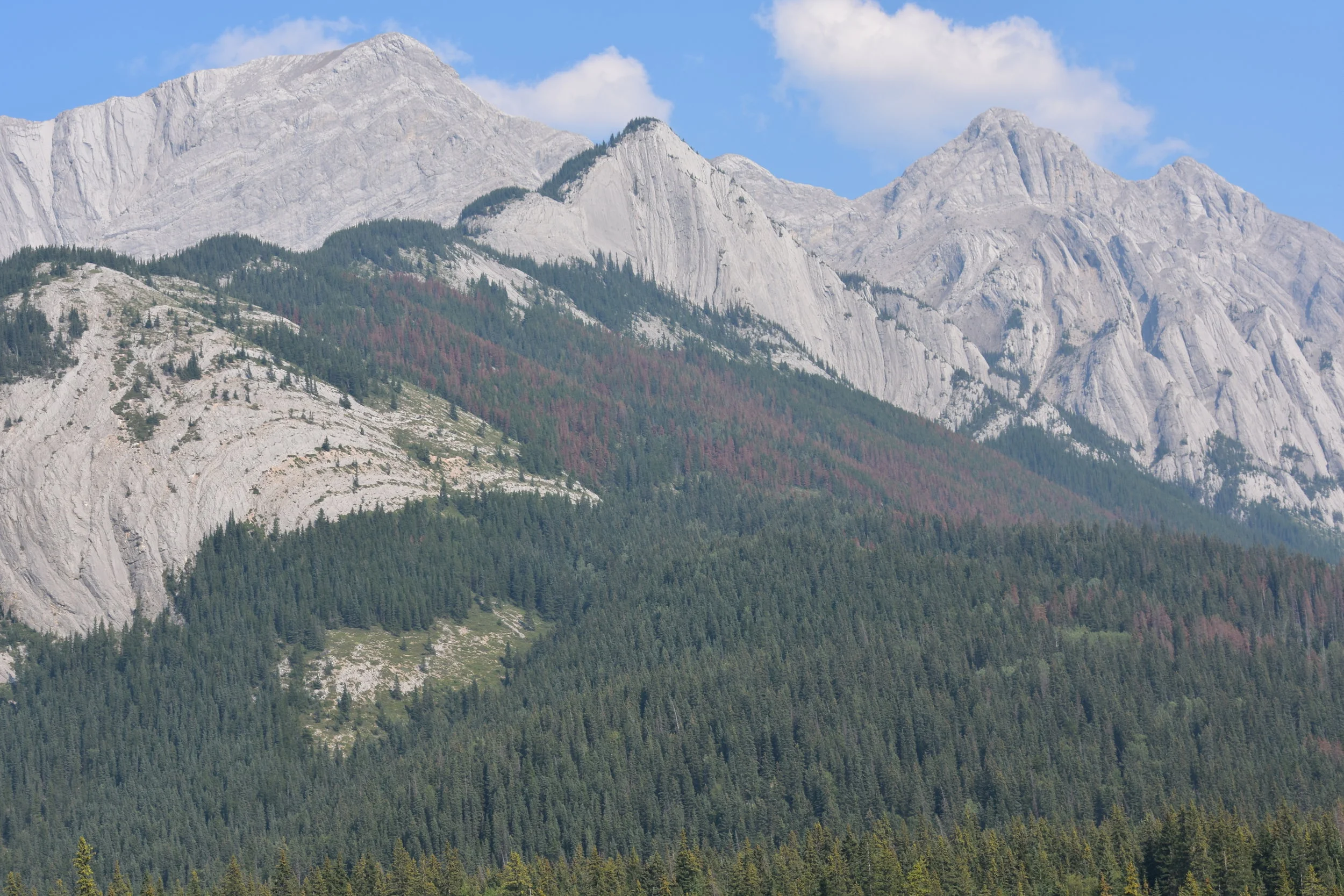 DSC_0066.JPG