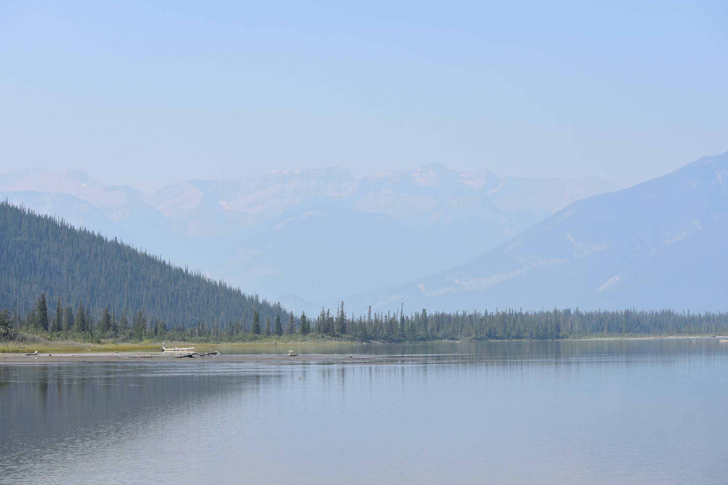 DSC_0092.JPG
