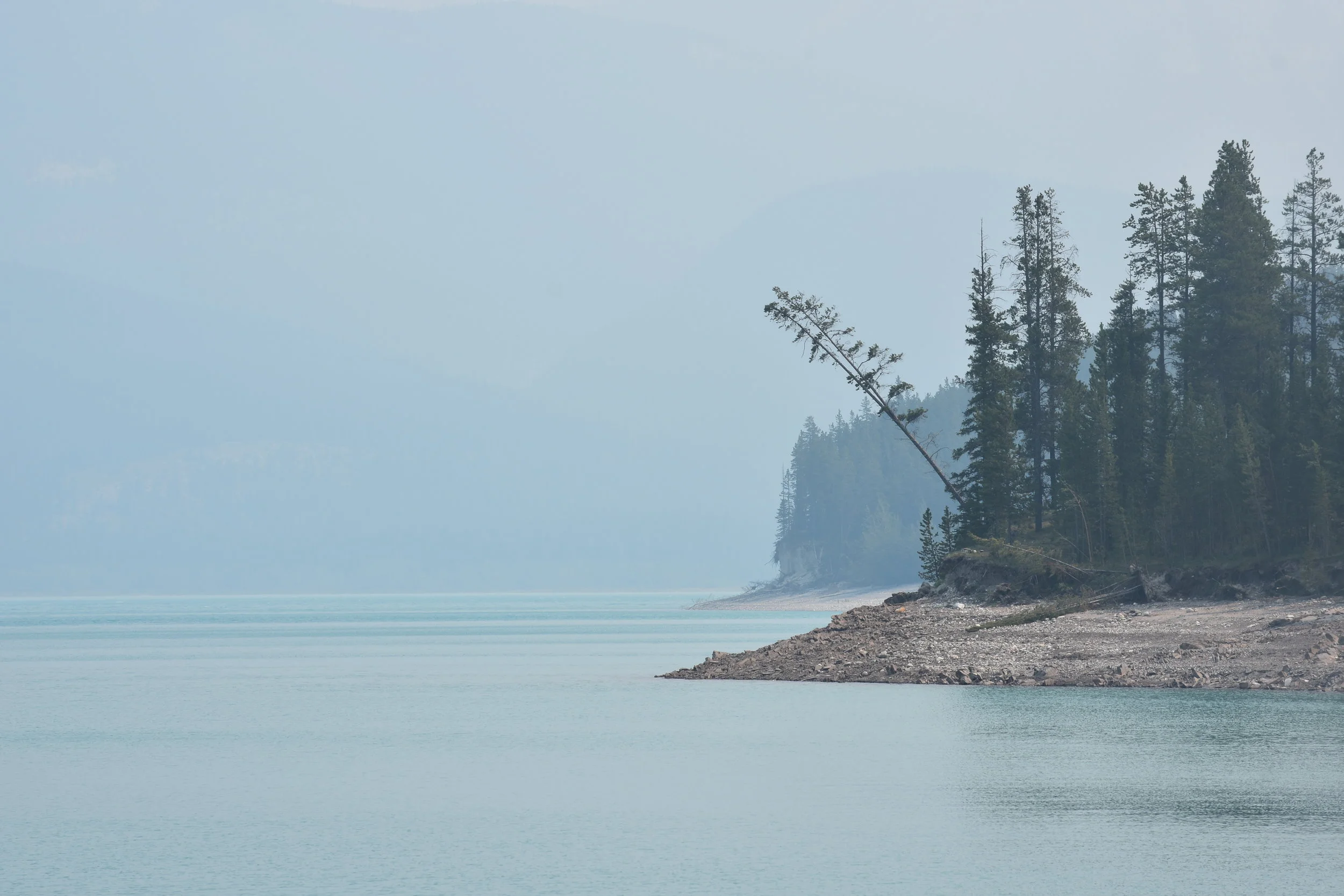 DSC_0268.JPG
