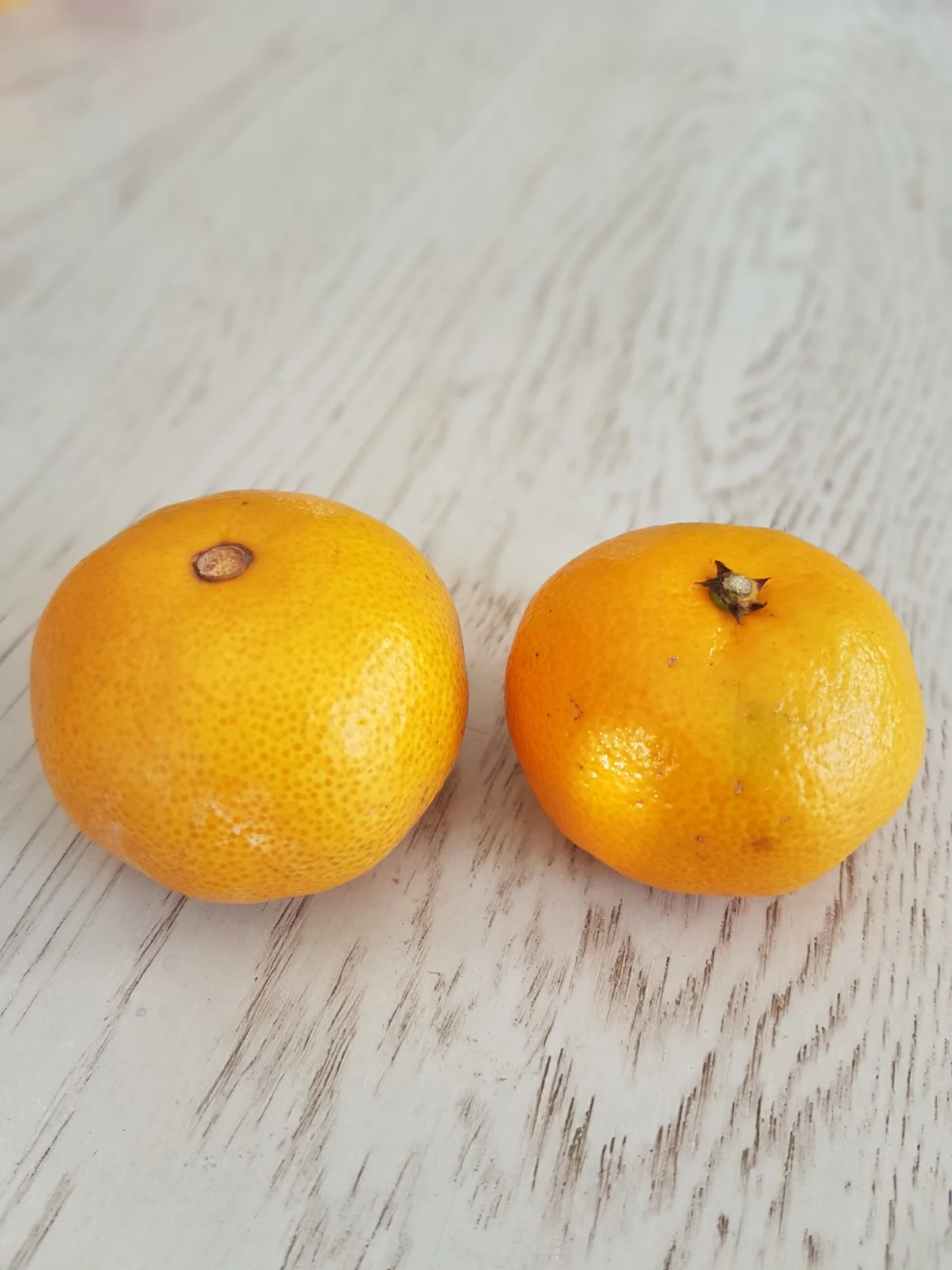 mandarin orange chinese vs japanese.jpg