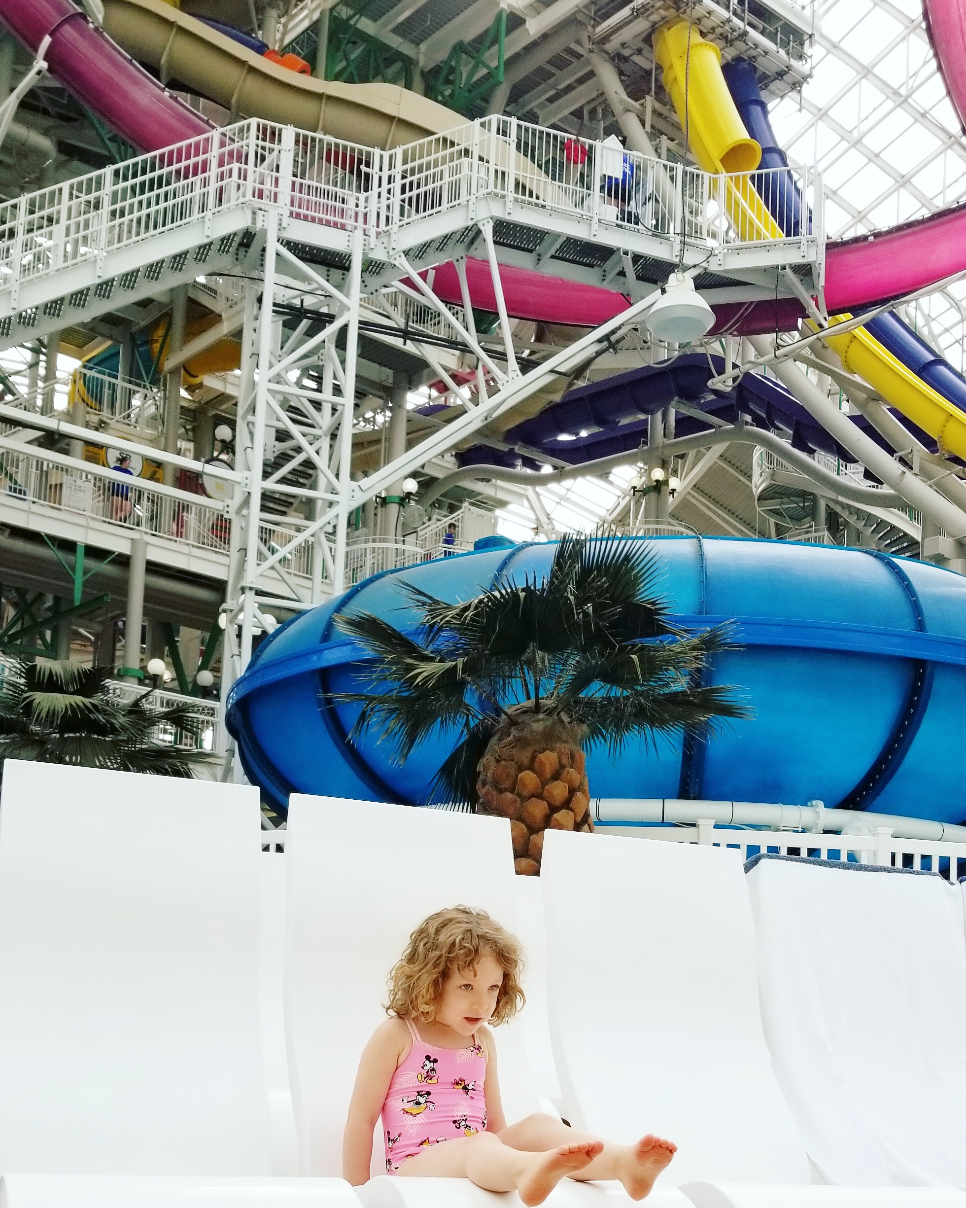 無料ダウンロード West Edmonton Mall Waterpark Coupons 最高の新しい壁紙achd