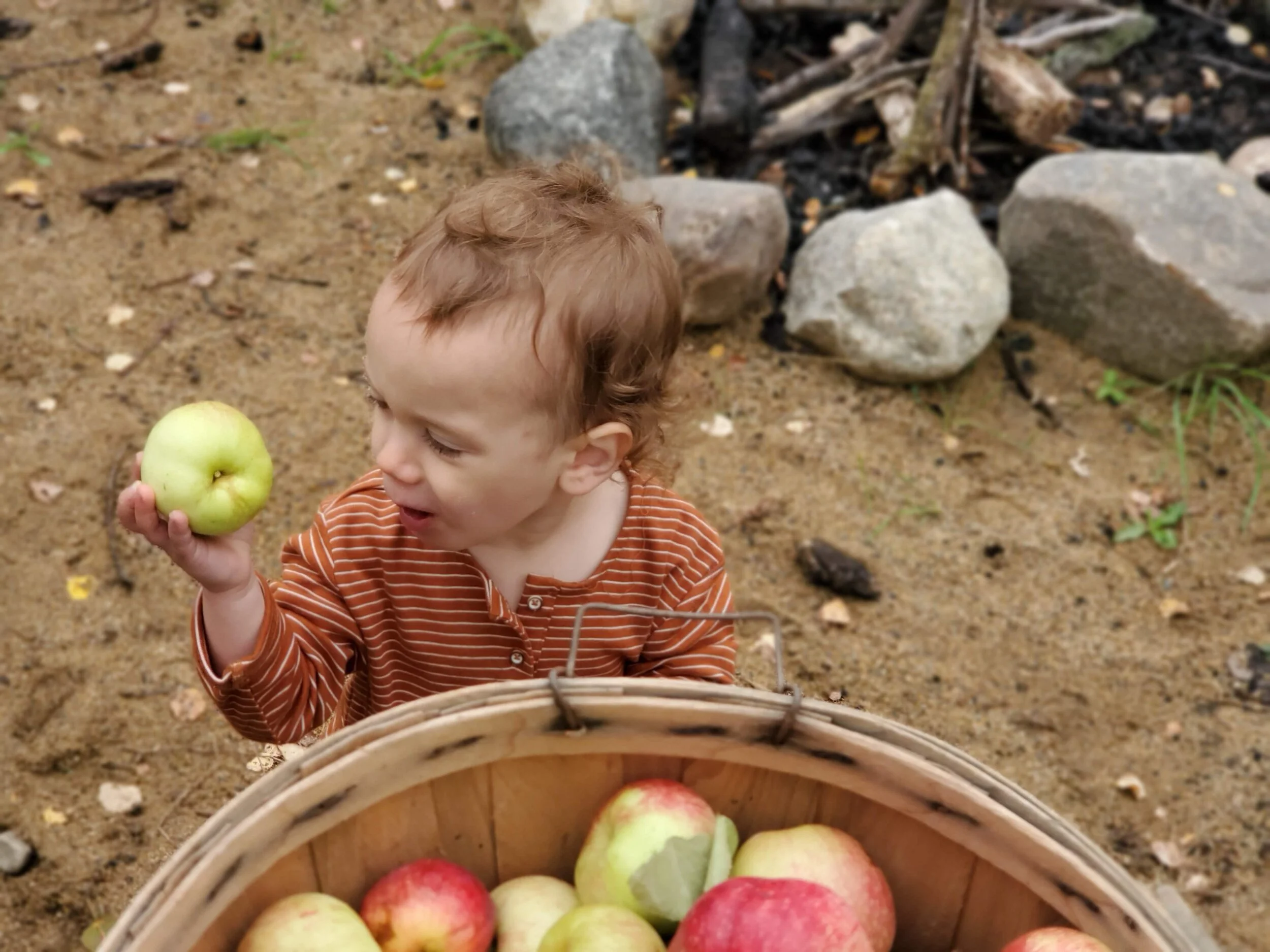 TimberNook’s program is weekly, with changing themes. This week was Apples. It began with a story around the campfire about apples where the kids could enjoy their snack from home as well as some freshly picked apples.