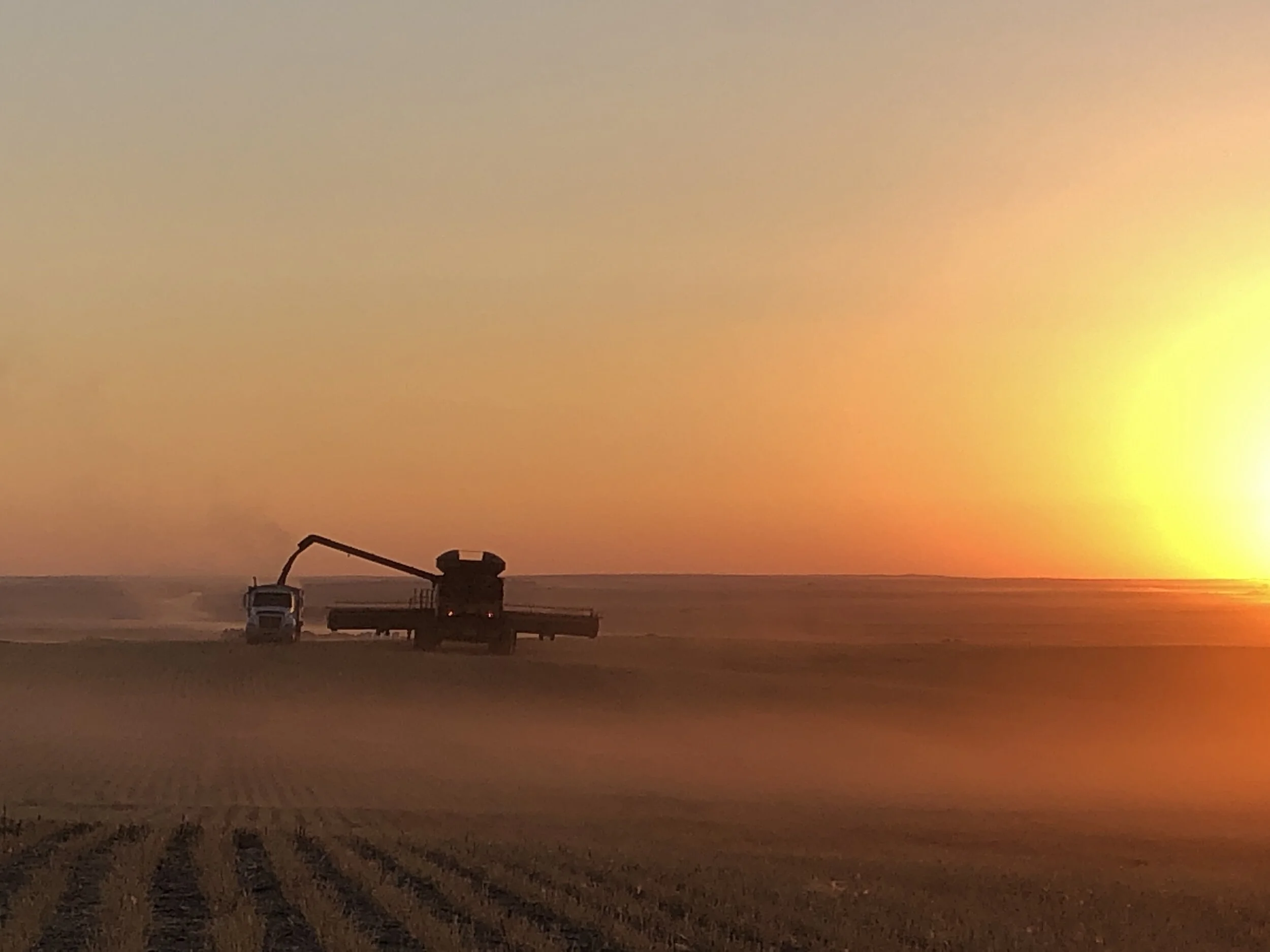 Two Must-See Fall Events in Saskatchewan