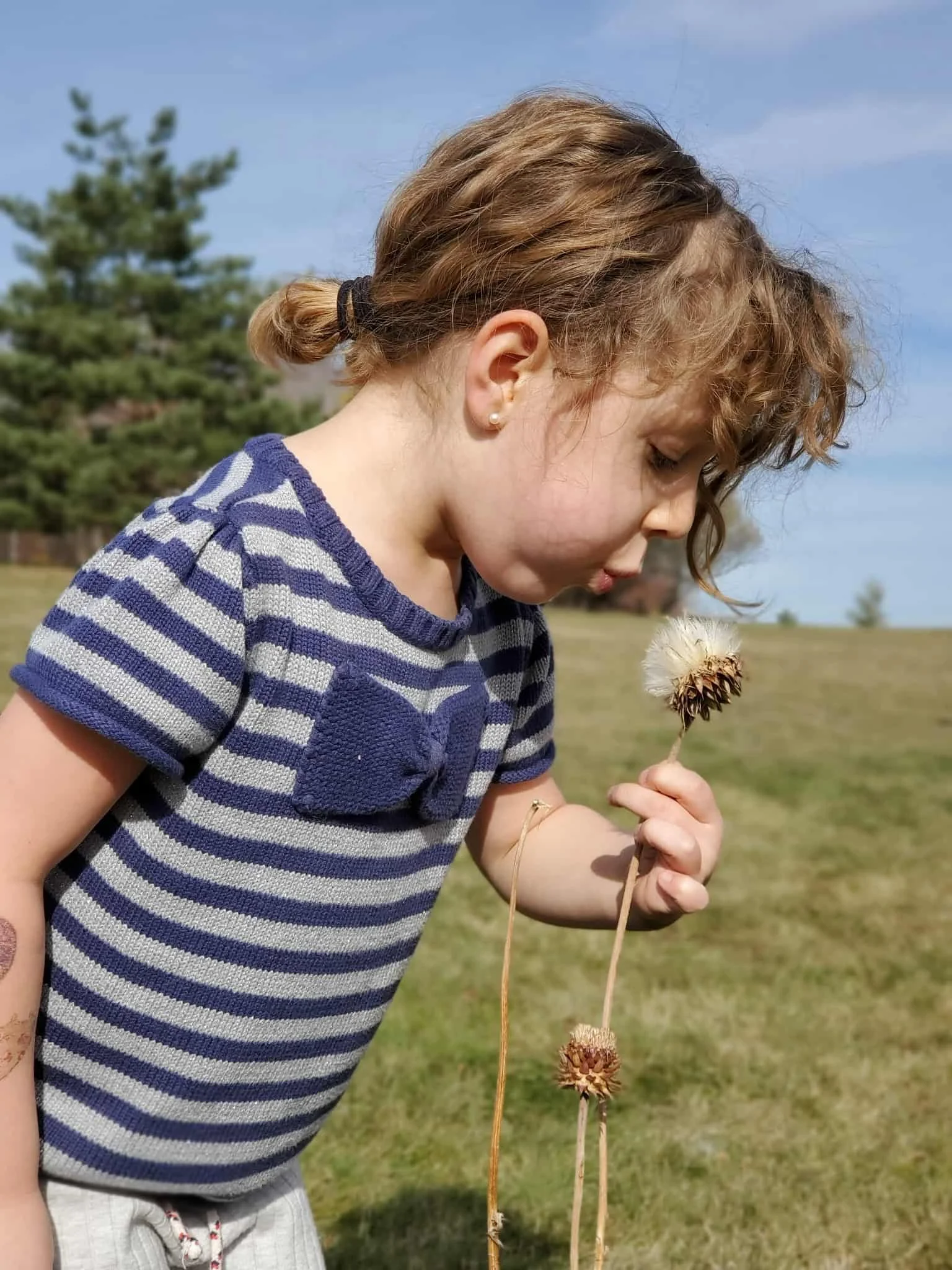 alerces spanish immersion school review 25.jpg