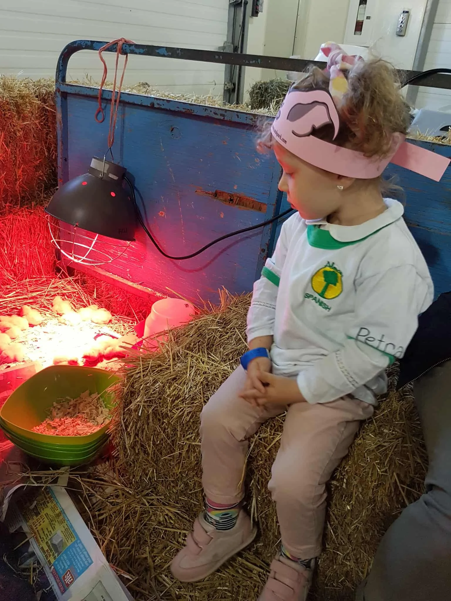 alerces spanish immersion school review 18.jpg