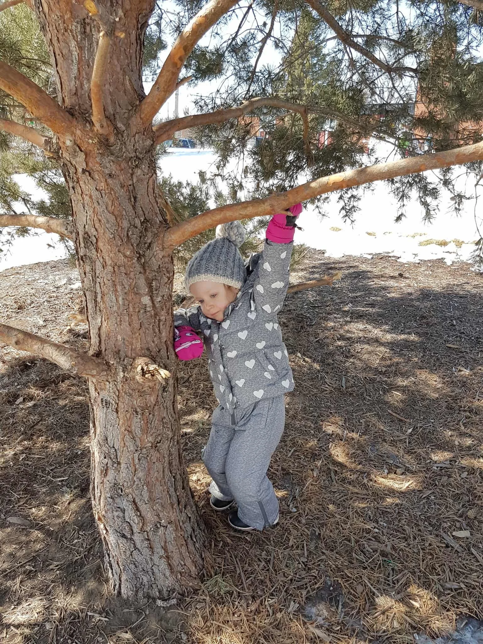 alerces spanish immersion school review 21.jpg