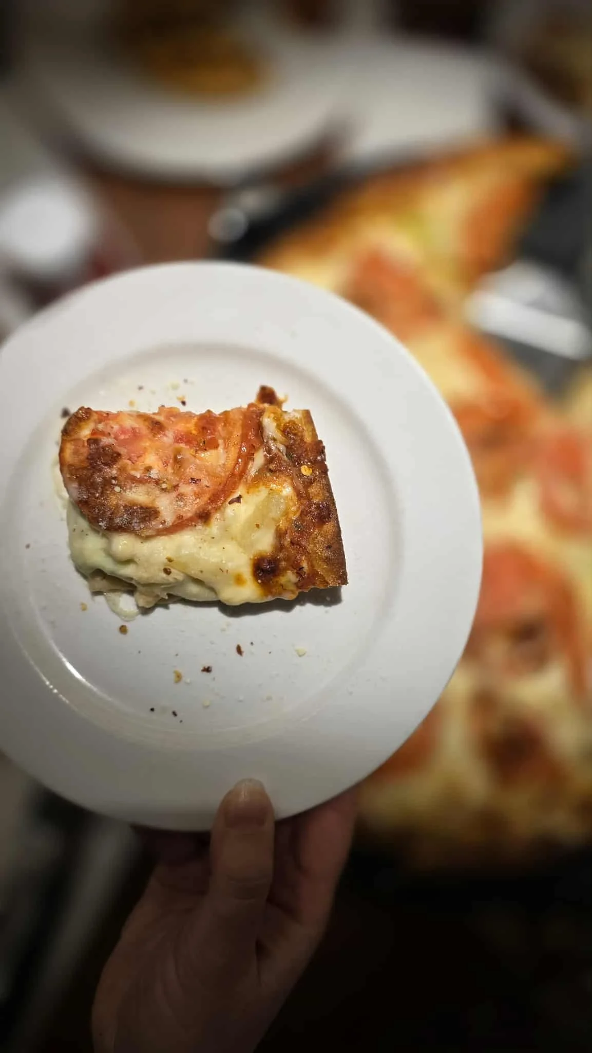 houston pizza regina review 3.jpg