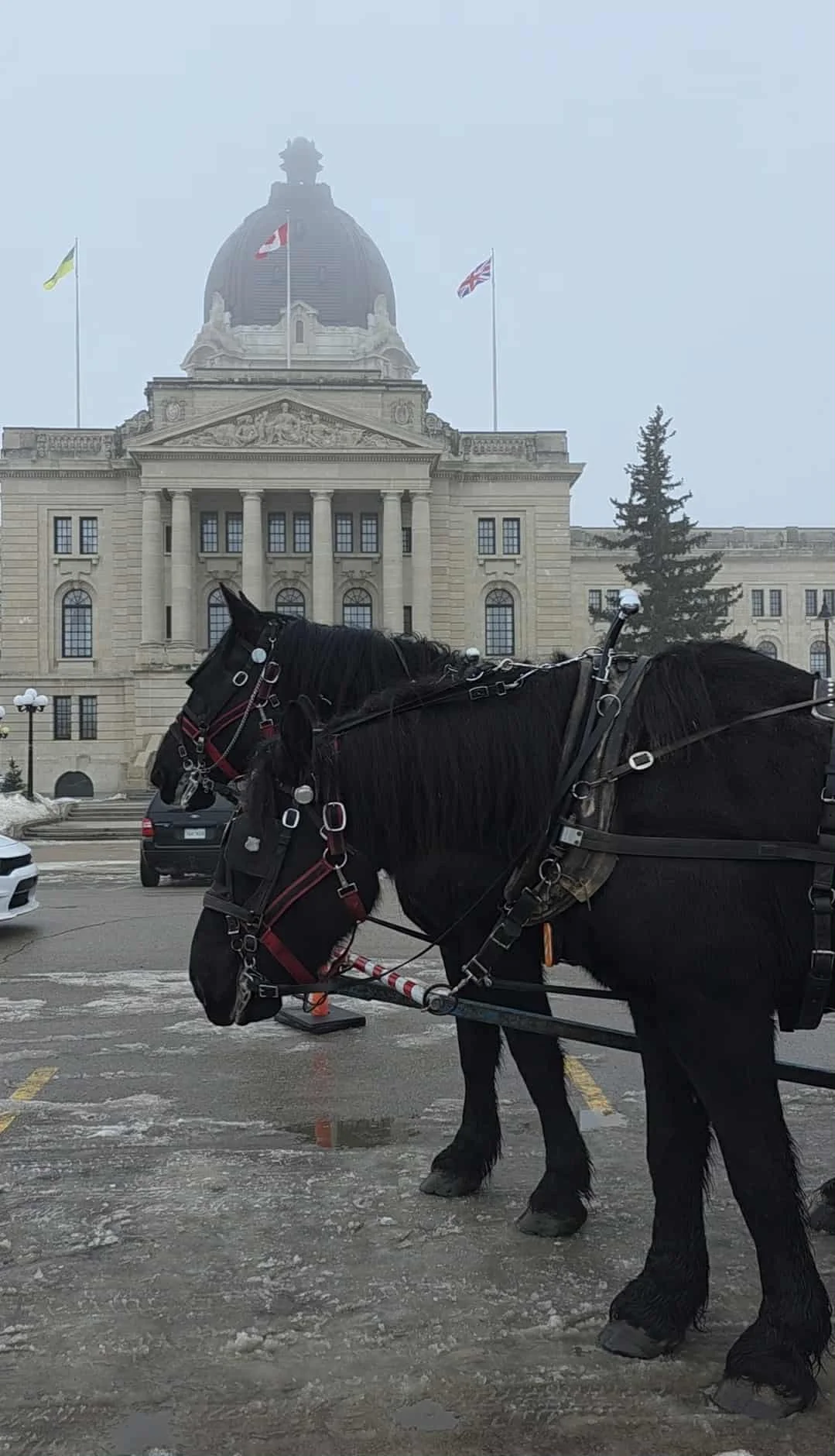 regina frost festival things to do 2026 20.jpg