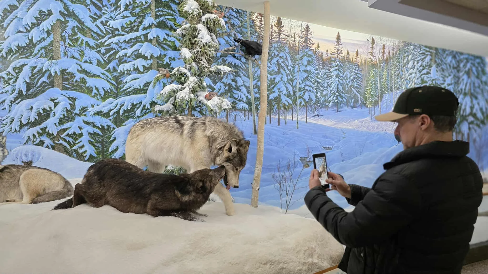 regina royal saskatchewan museum review 6.jpg