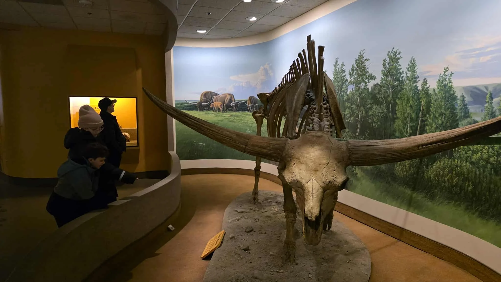 regina royal saskatchewan museum review 3.jpg