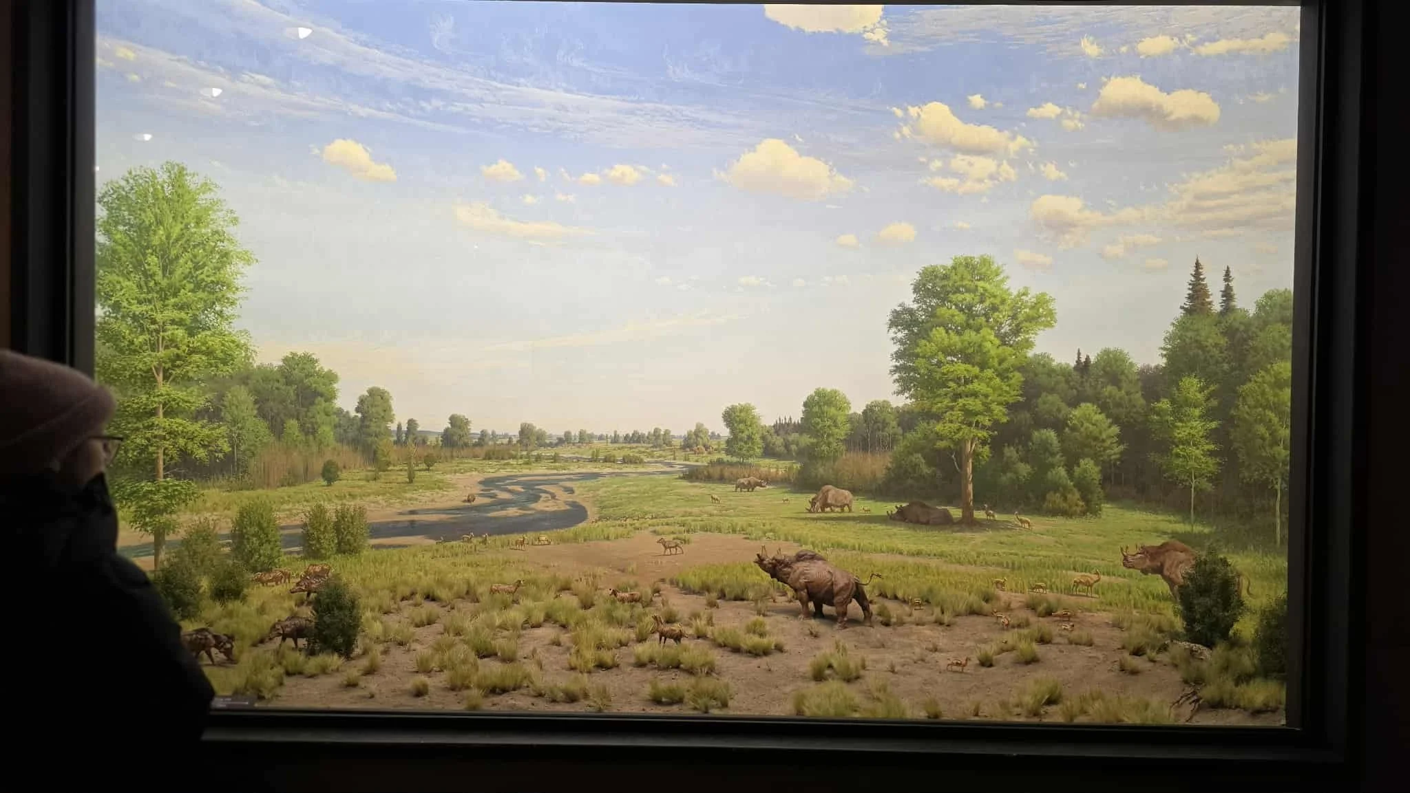 regina royal saskatchewan museum review 2.jpg