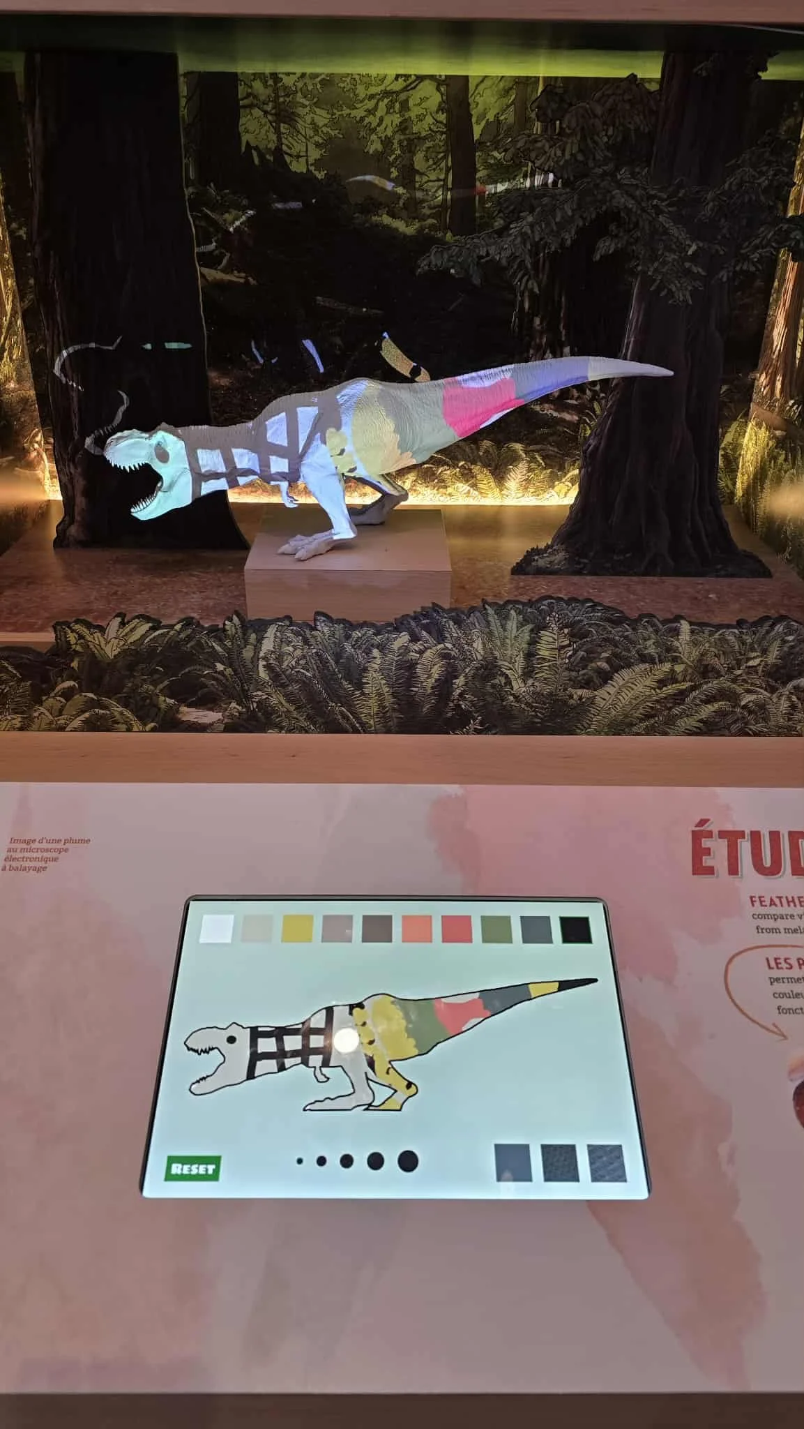 regina royal saskatchewan museum review 1.jpg