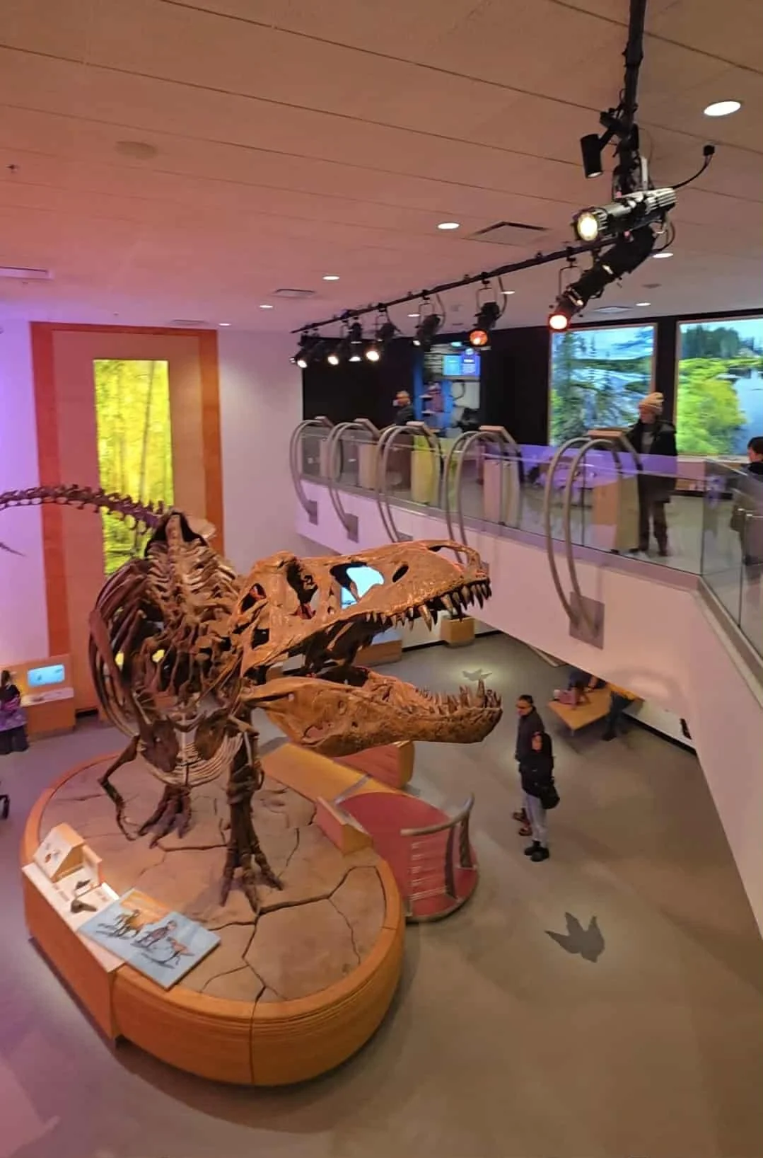 regina royal saskatchewan museum review 7.jpg