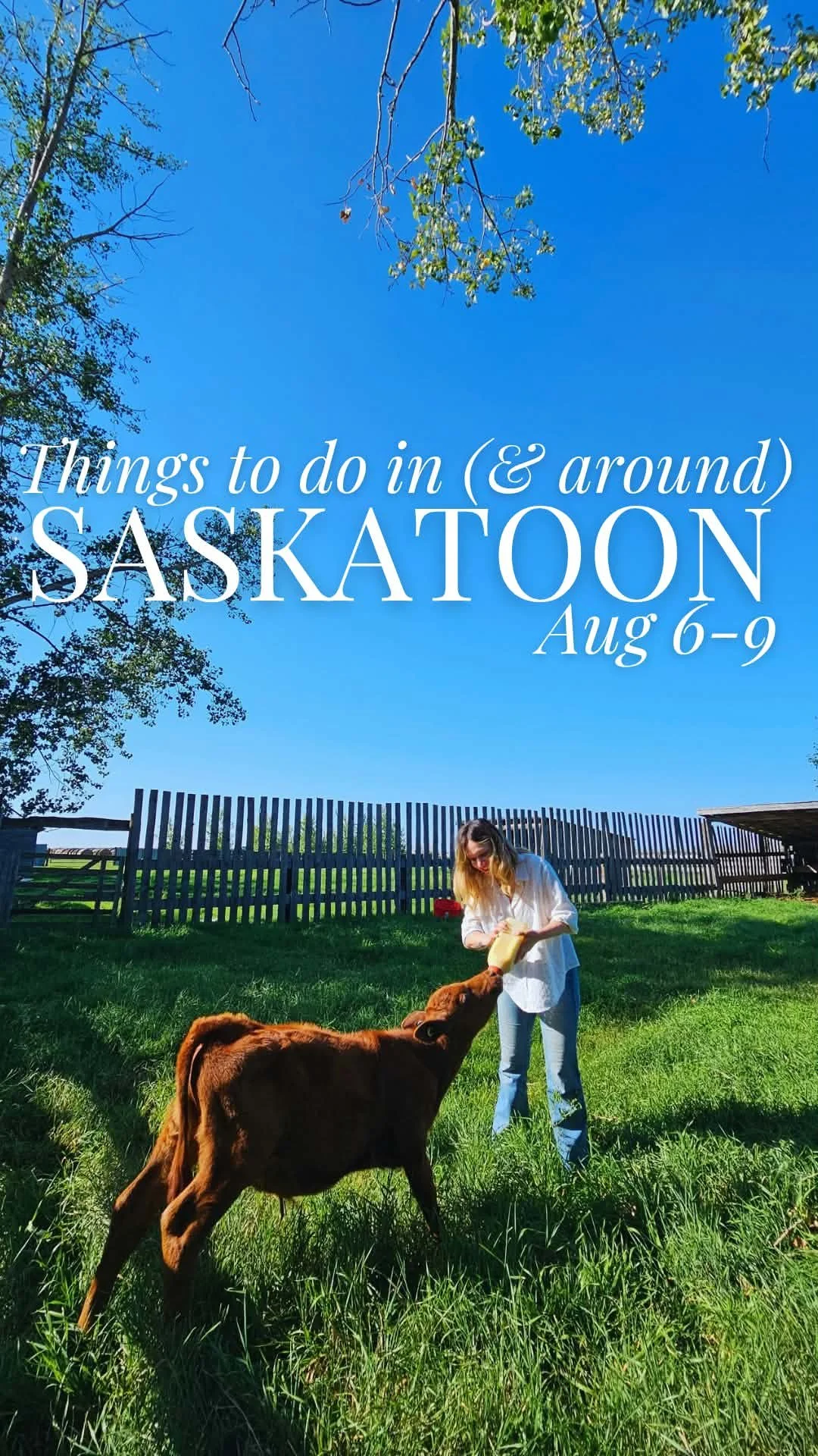 Things to do in Saskatoon: Your Weekend Event Guide